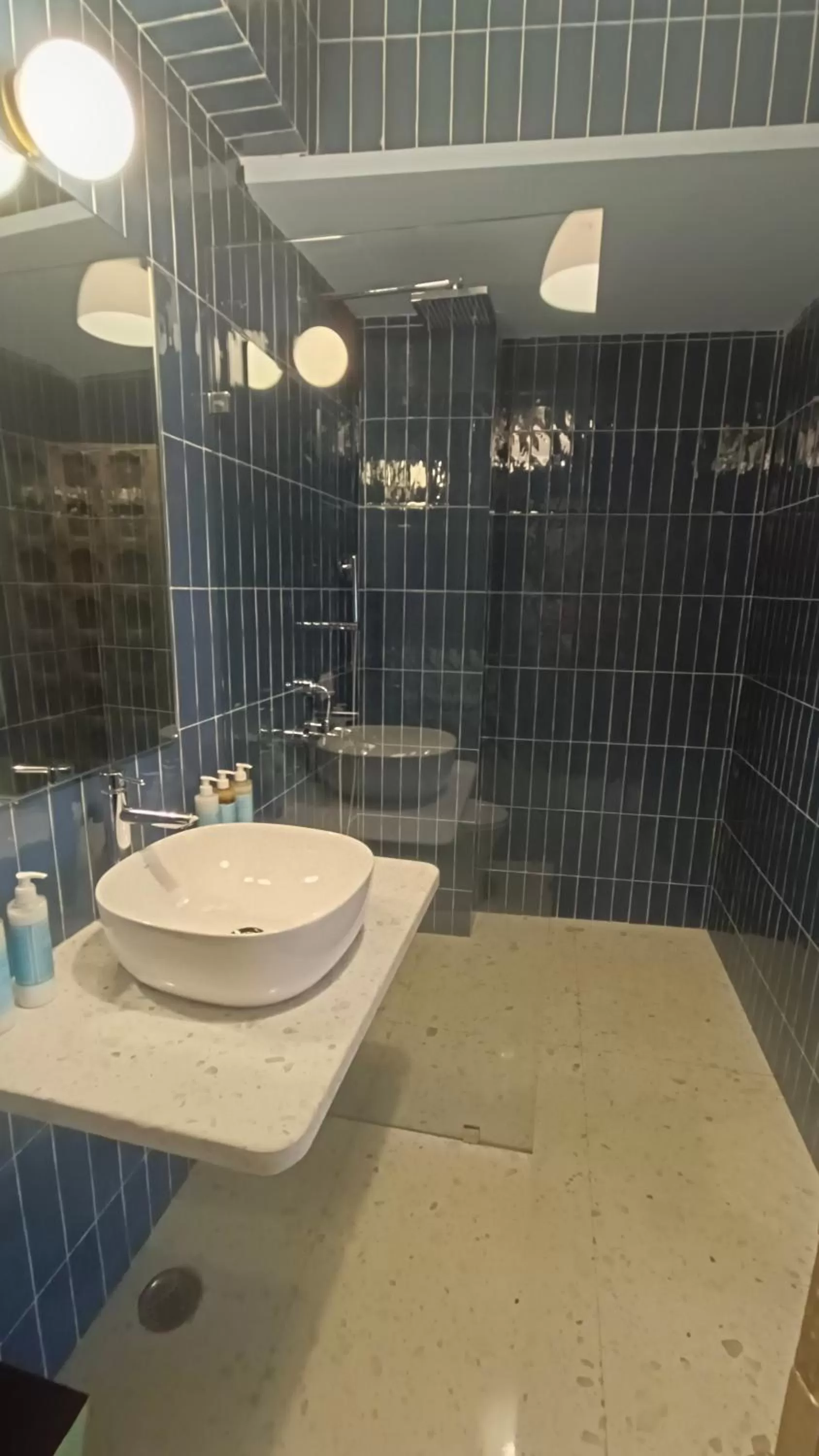 Shower, Bathroom in The Stepwell Hotel