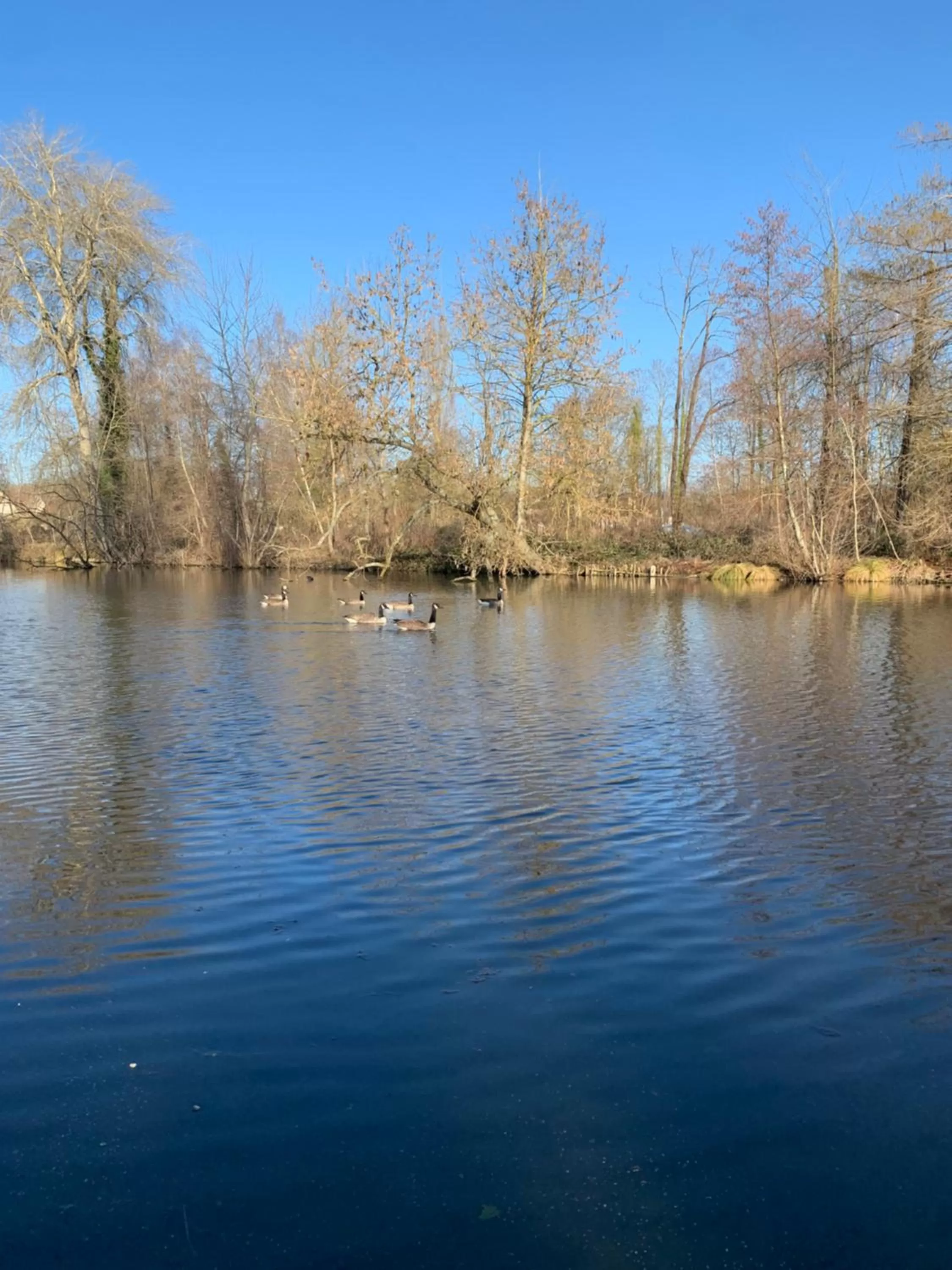 Hôtel L'ile Du Saussay