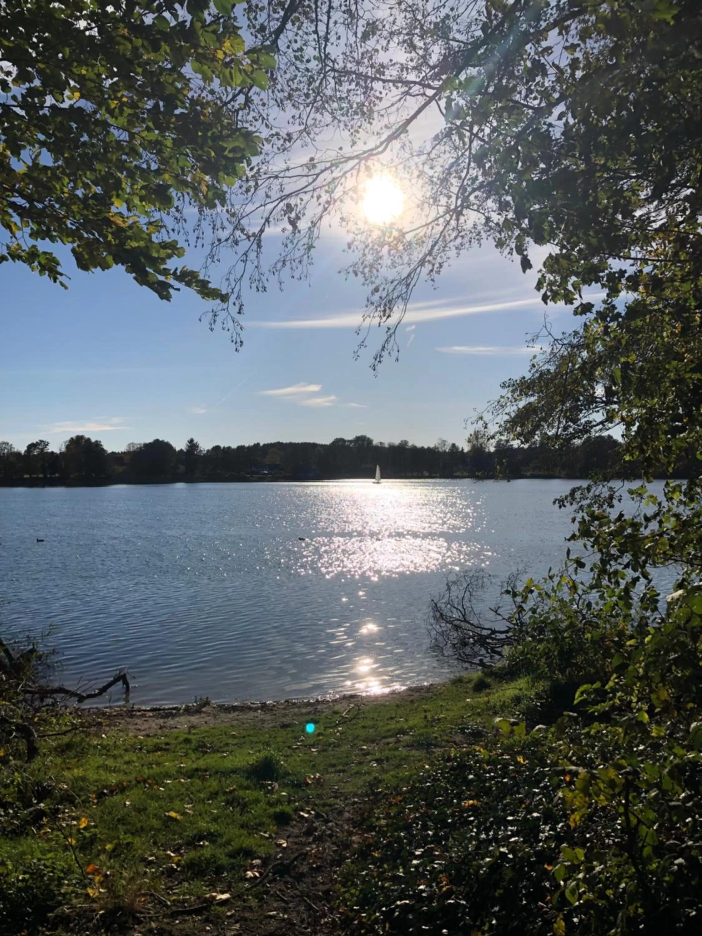TV and multimedia in Hotel Zur Linde Dein Self Check In