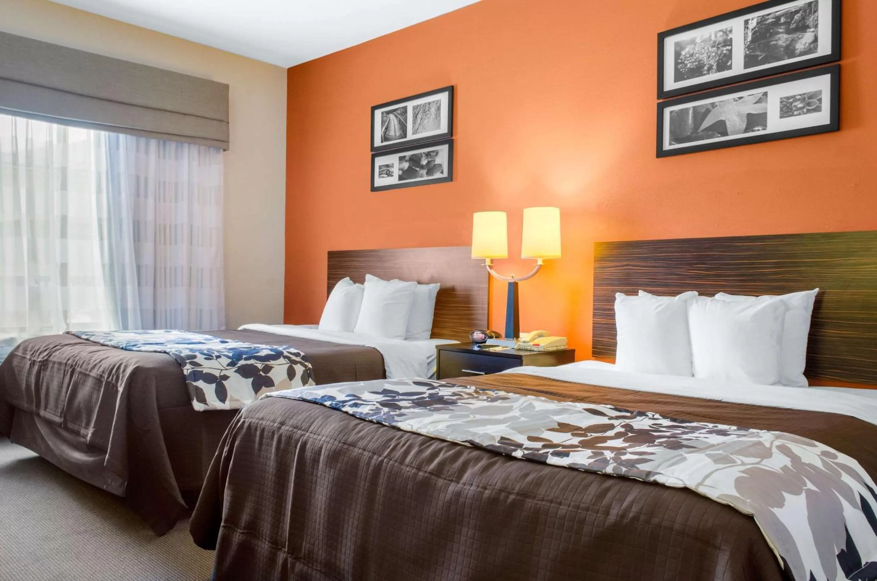 Photo of the whole room, Bed in Sleep Inn & Suites East Chase