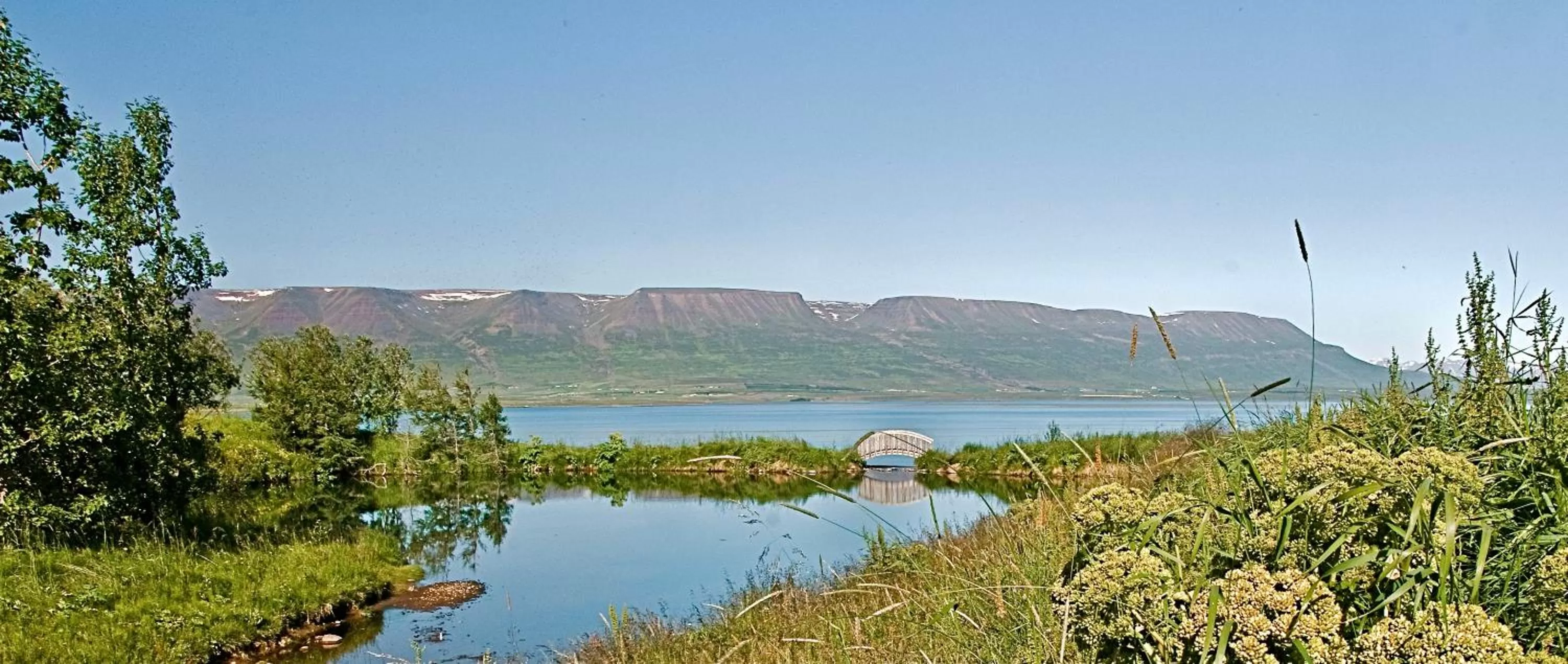 Natural landscape in Hotel Natur Akureyri