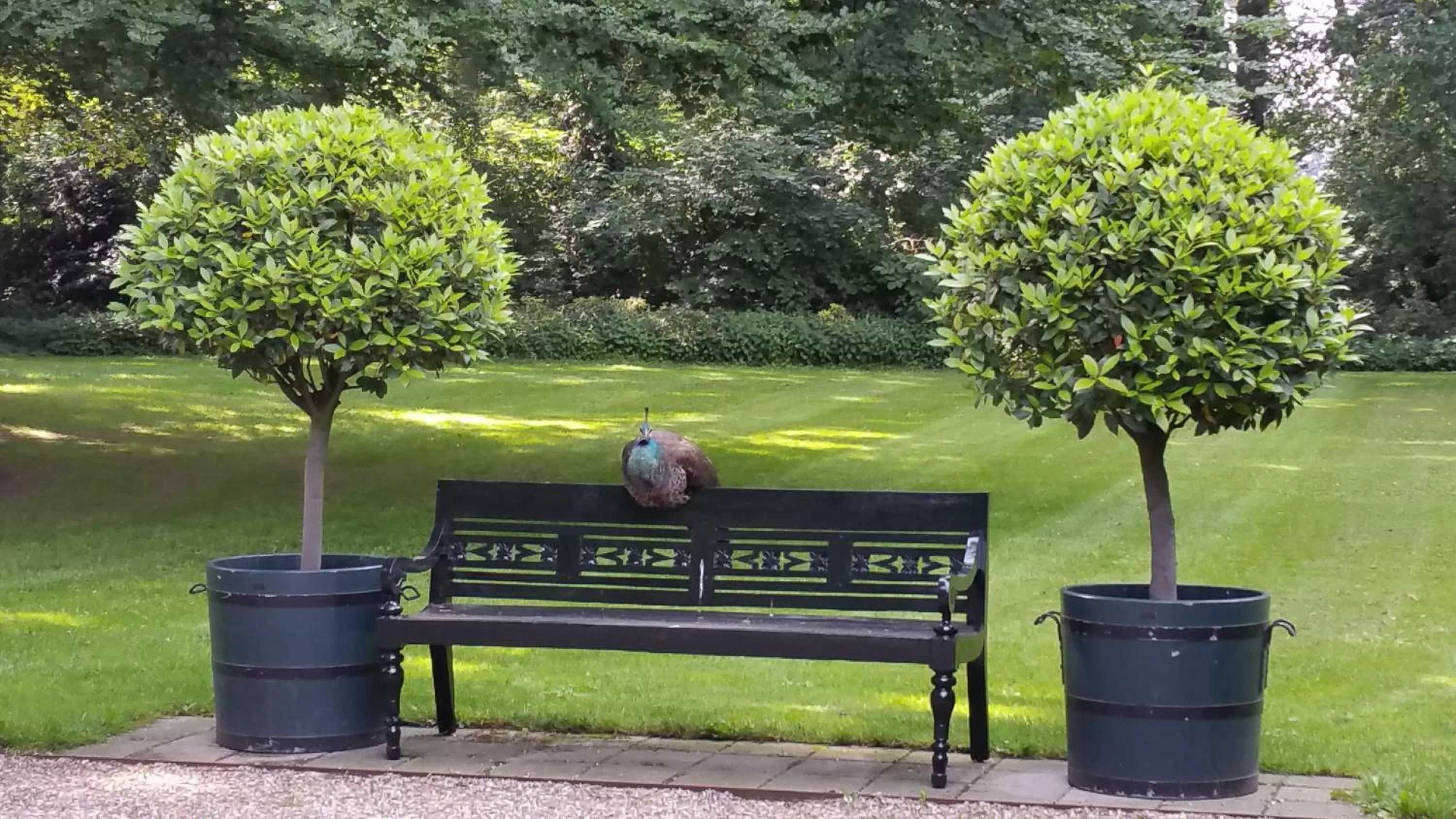 Garden in B&B en SPA Landgoed Matanze