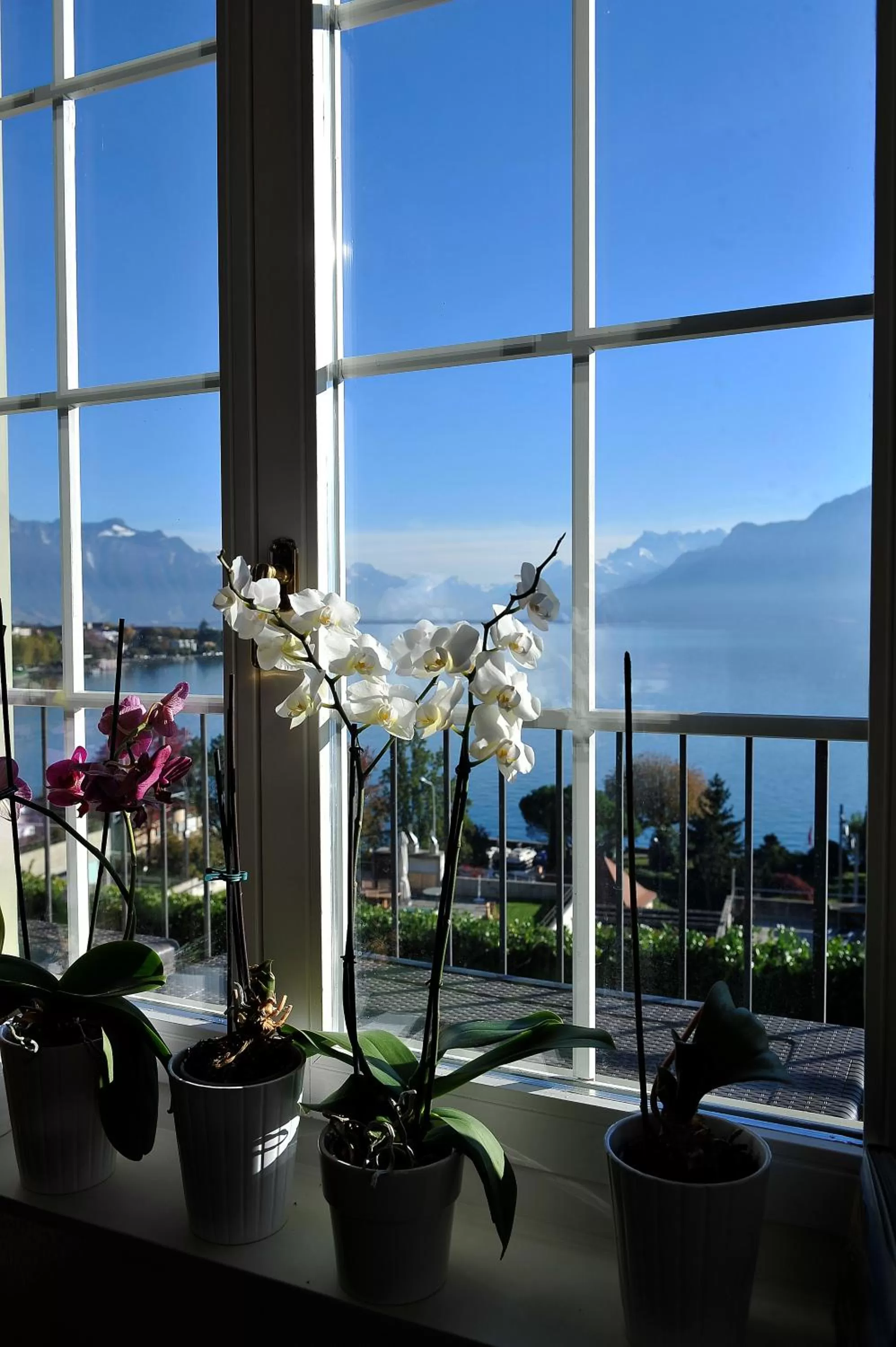 View (from property/room) in B&B Corseaux Beach & Riviera Beach