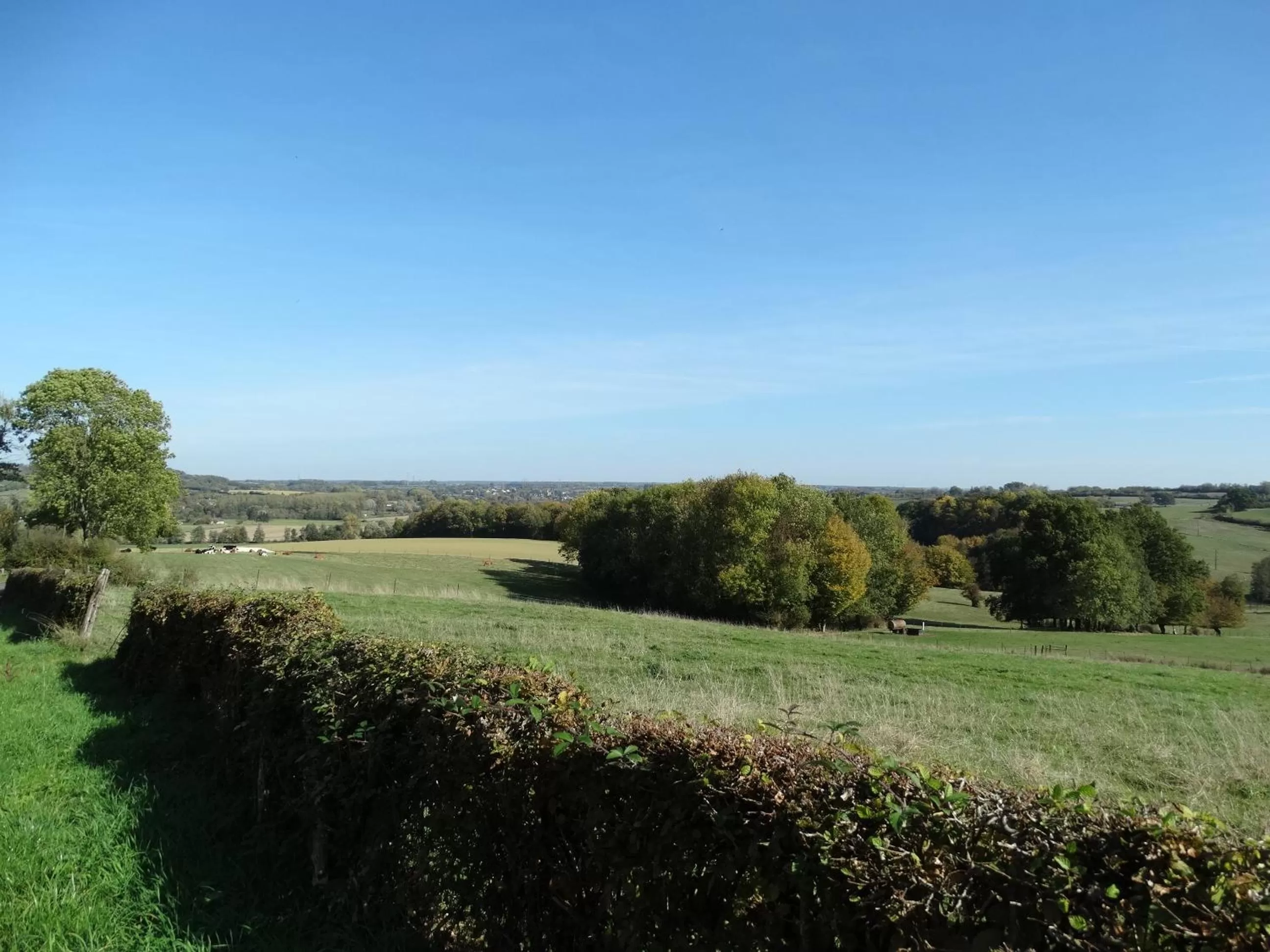 Natural landscape in La Vannerie