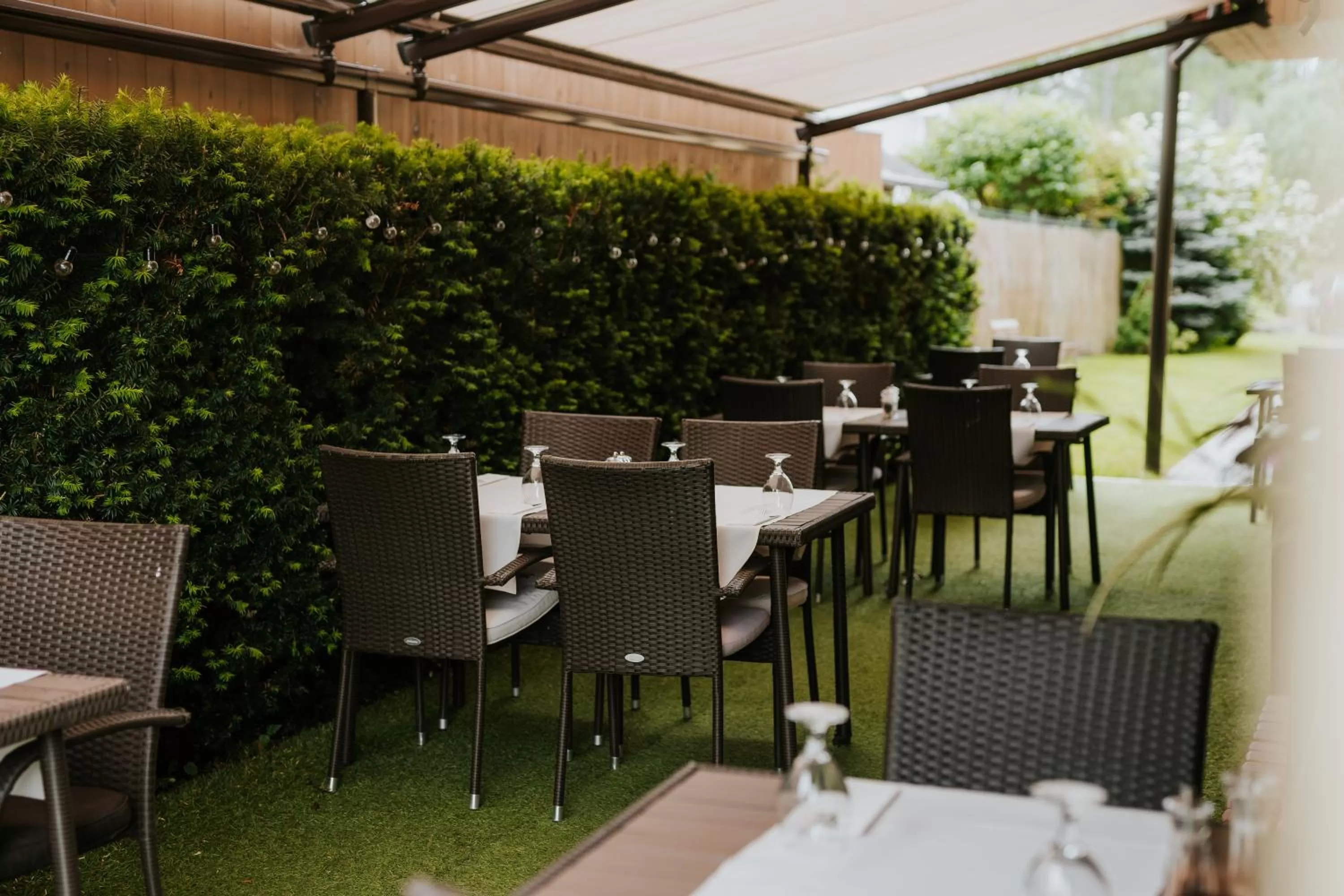 Restaurant/places to eat in Penzion Drak