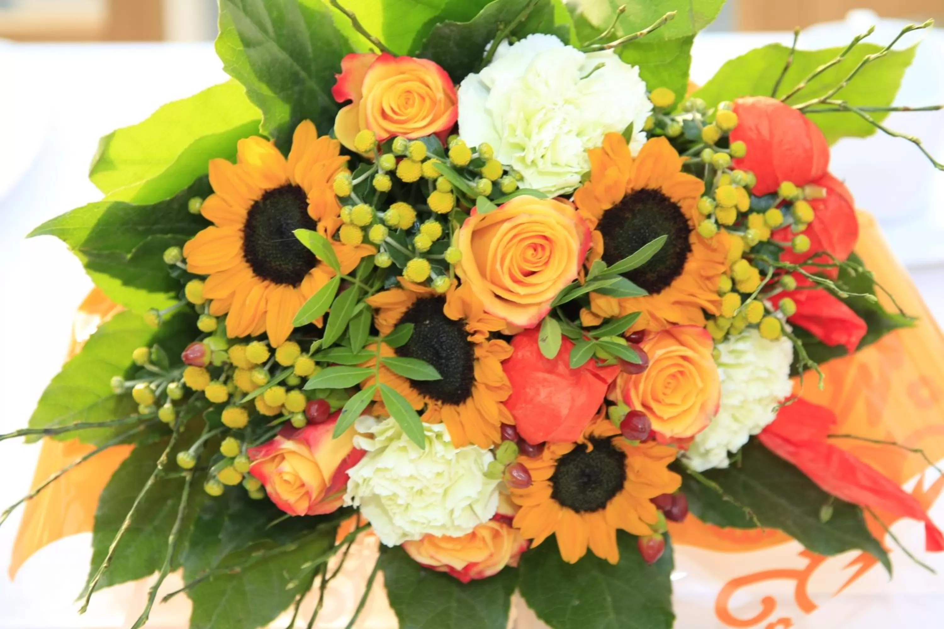 Other in City-Hotel Mödling