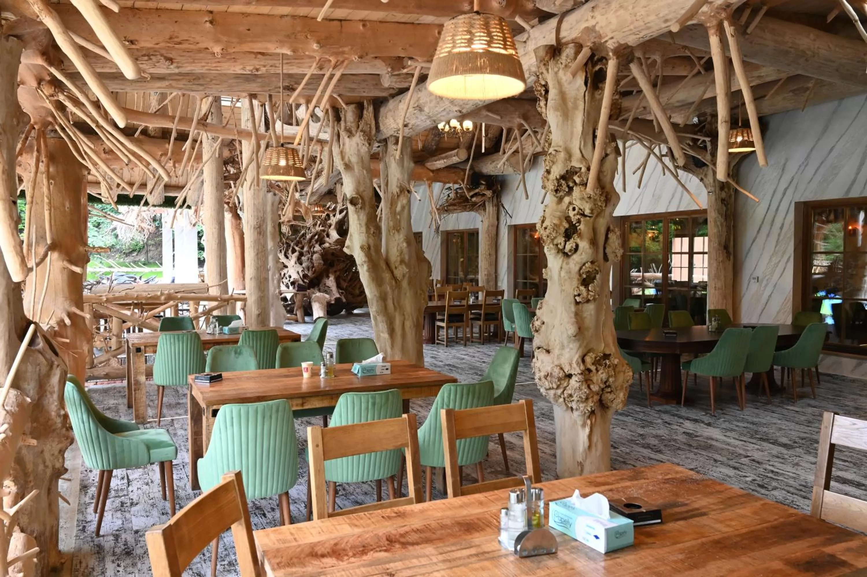 Restaurant/places to eat in Conacul Radacinilor