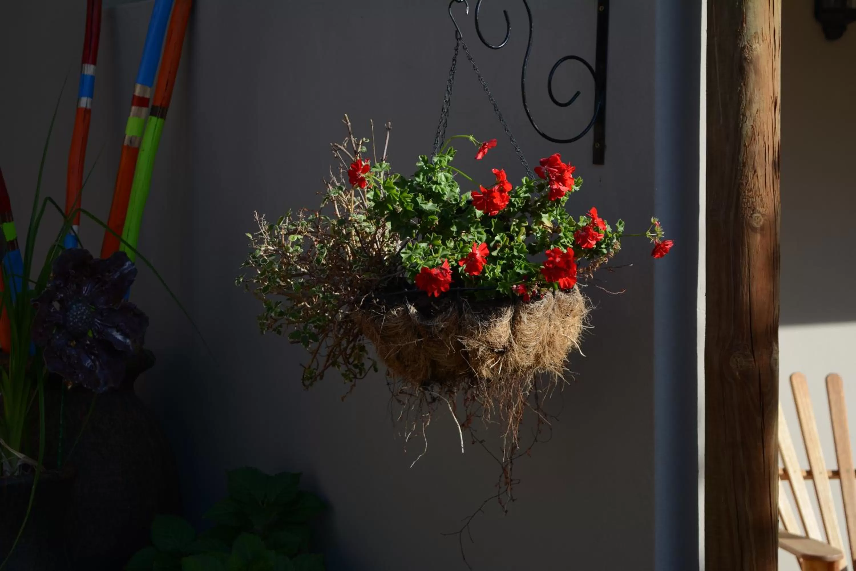 Garden in Travellers Rest