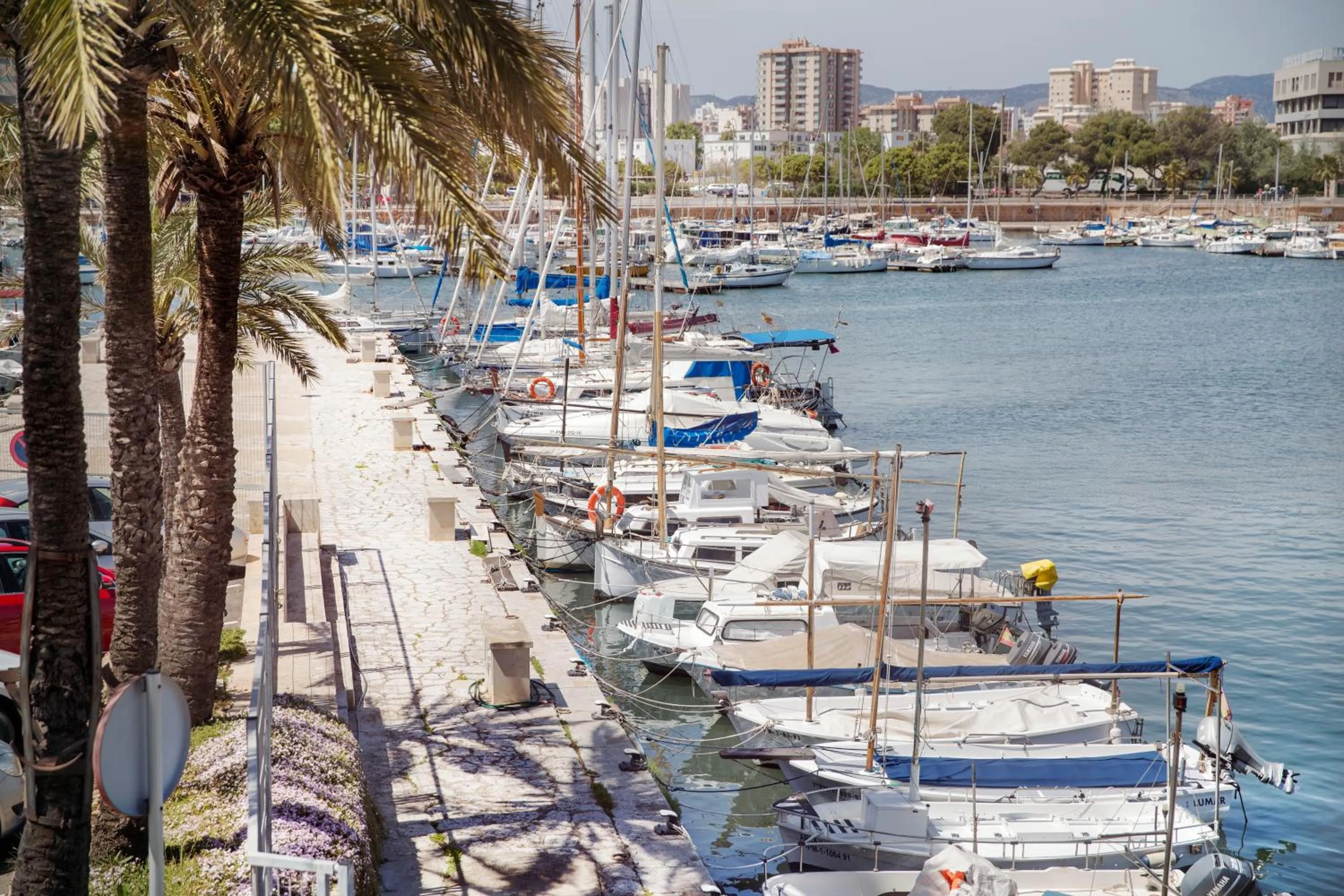 Nearby landmark in Portixol Hotel & Restaurant