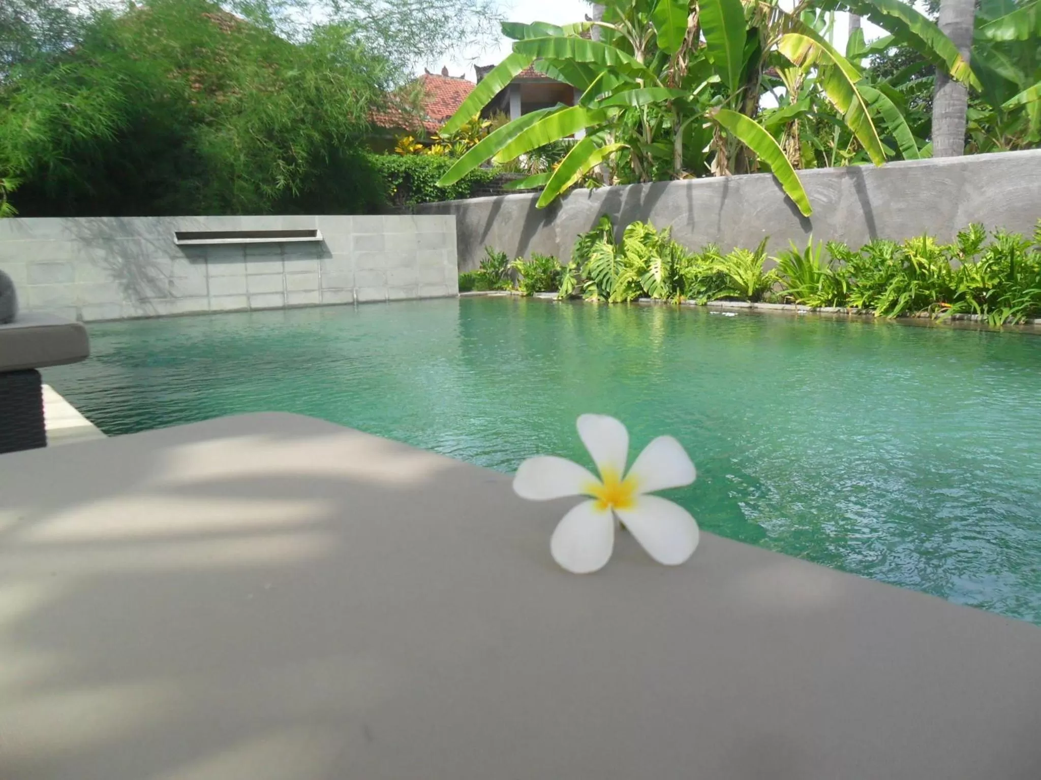 Swimming pool in Ju'Blu Hotel