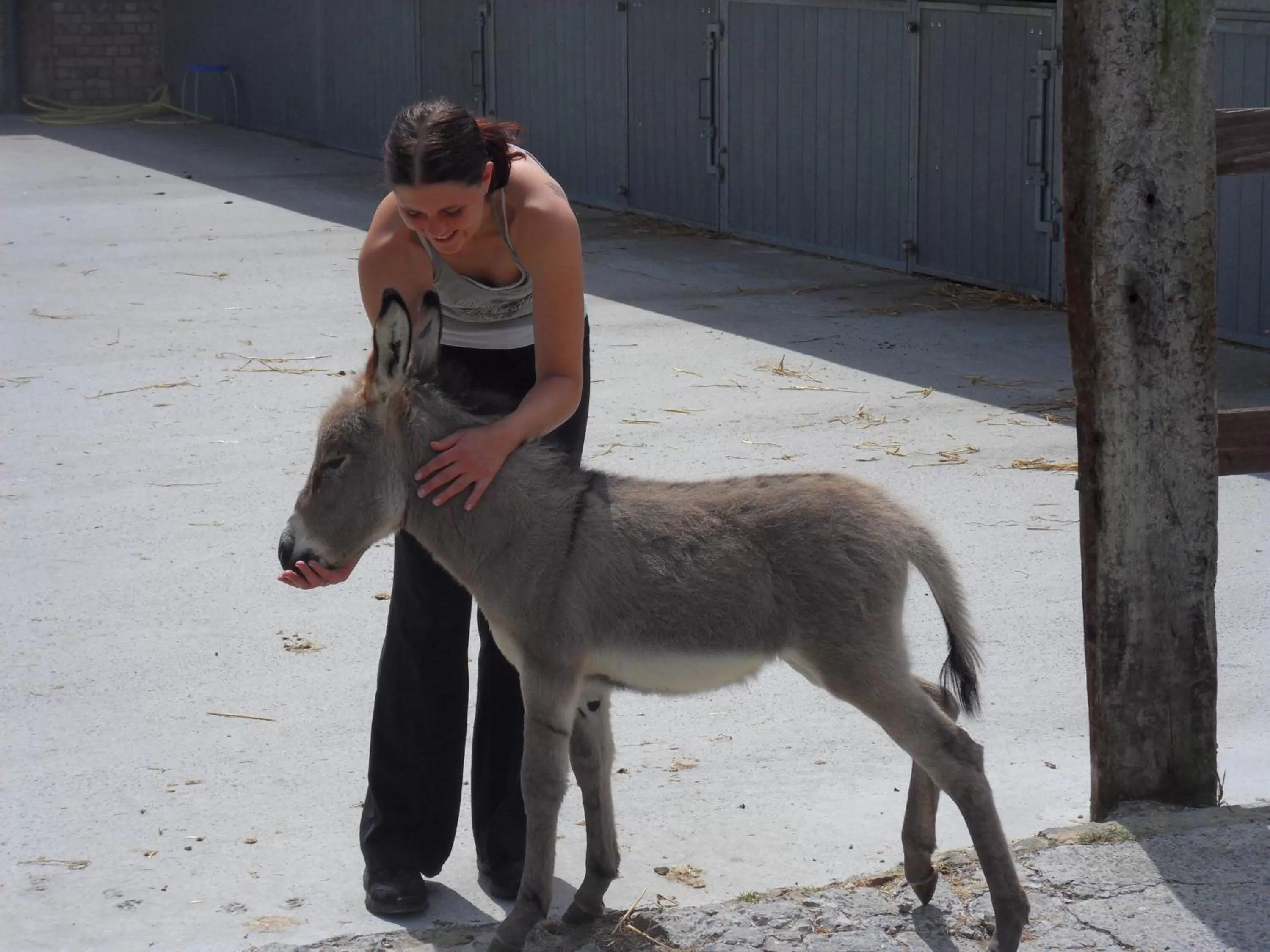 B&B Het Schaliënhof