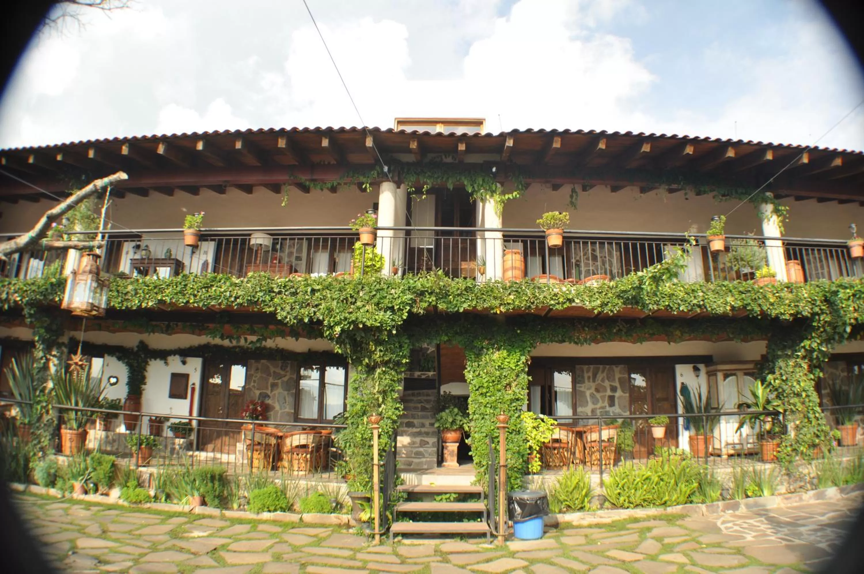 Garden in Hotel Villa Cassis