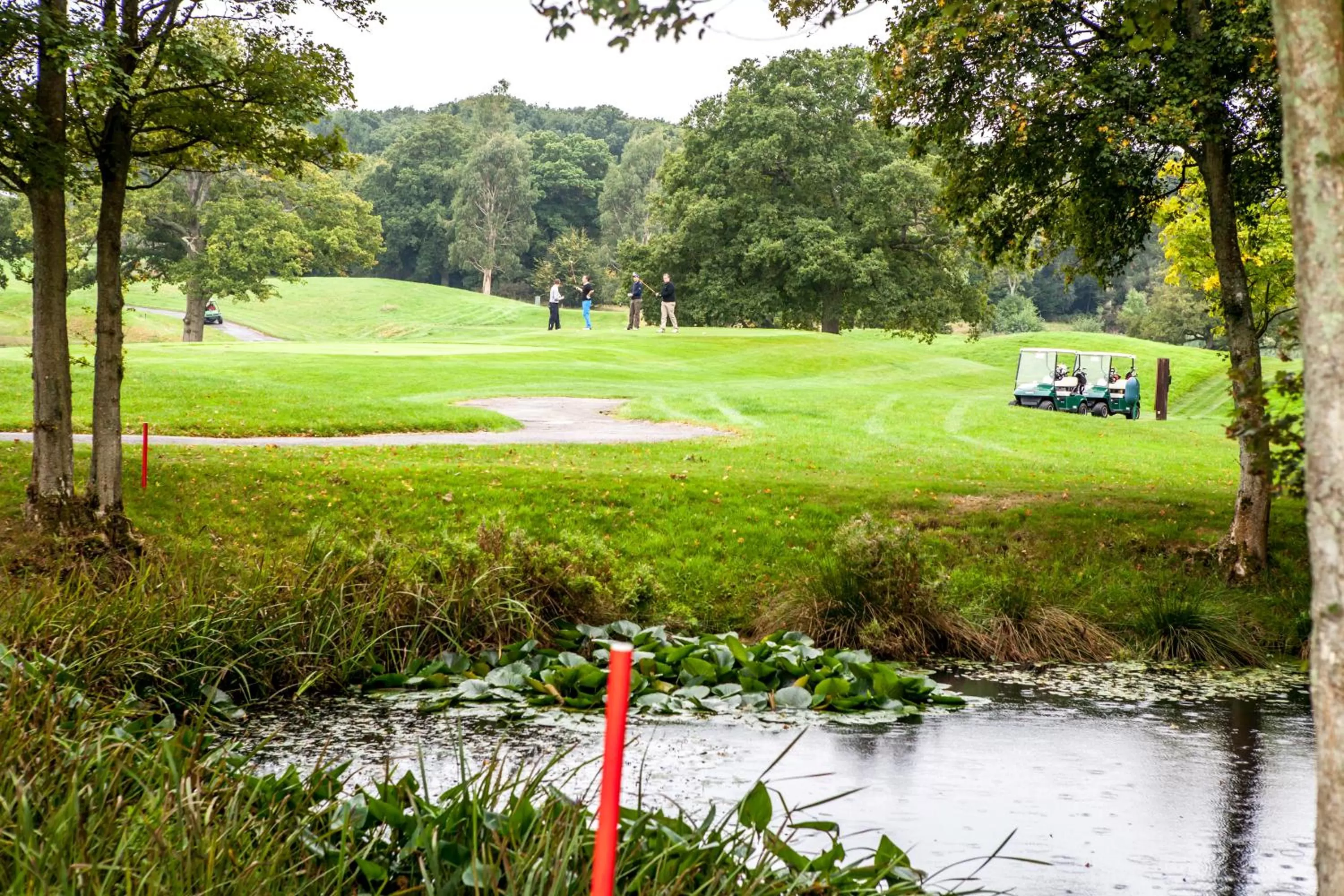 Area and facilities in East Sussex National Hotel, Golf Resort & Spa