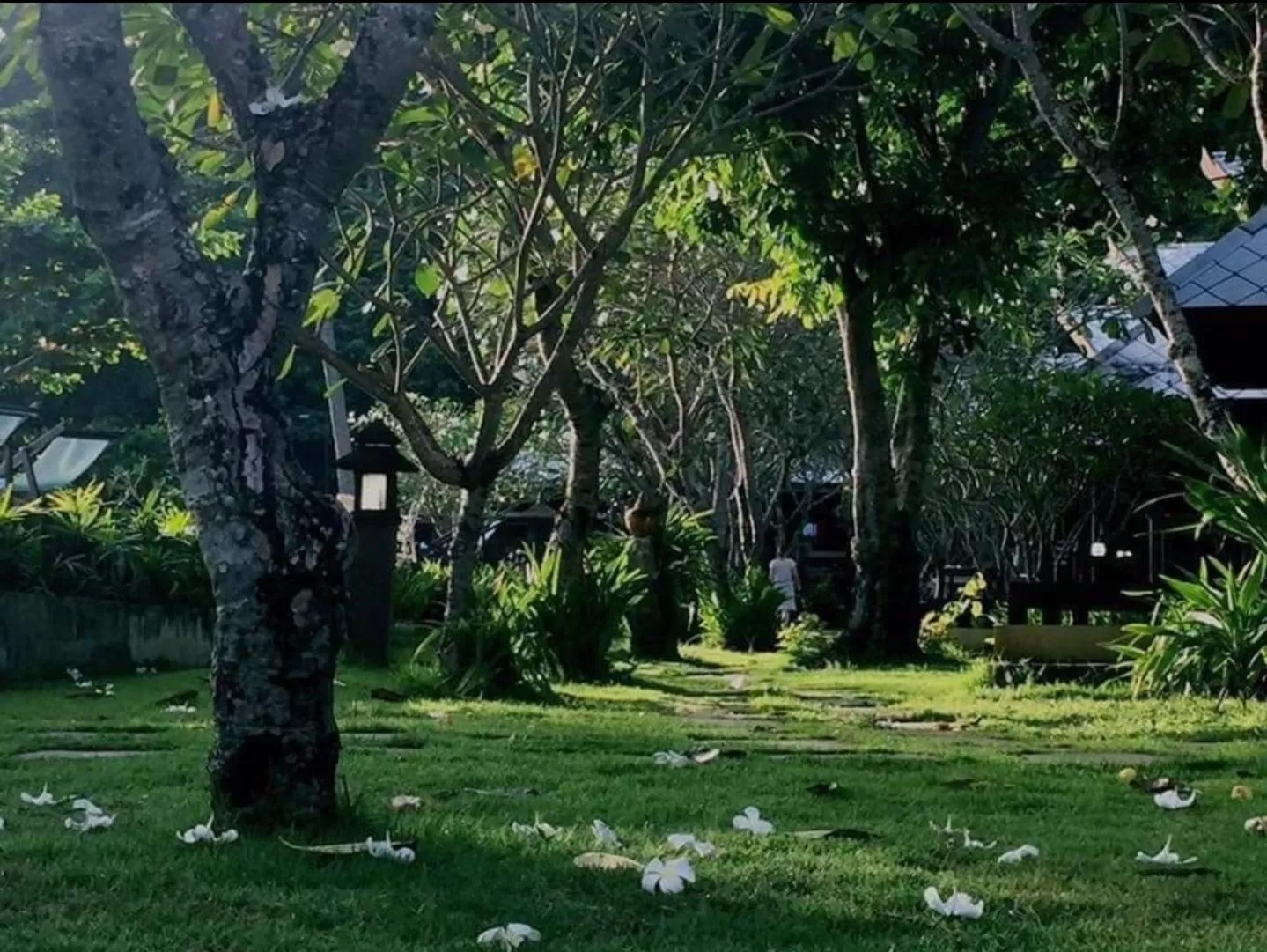 Garden in Thanya Beach Resort - SHA Plus