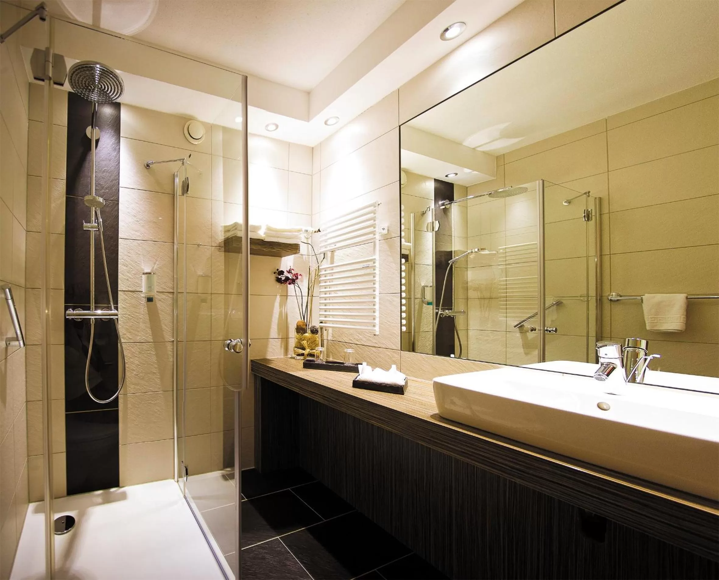Bathroom in Wellness-& Nationalpark Hotel Schliffkopf, BWSC