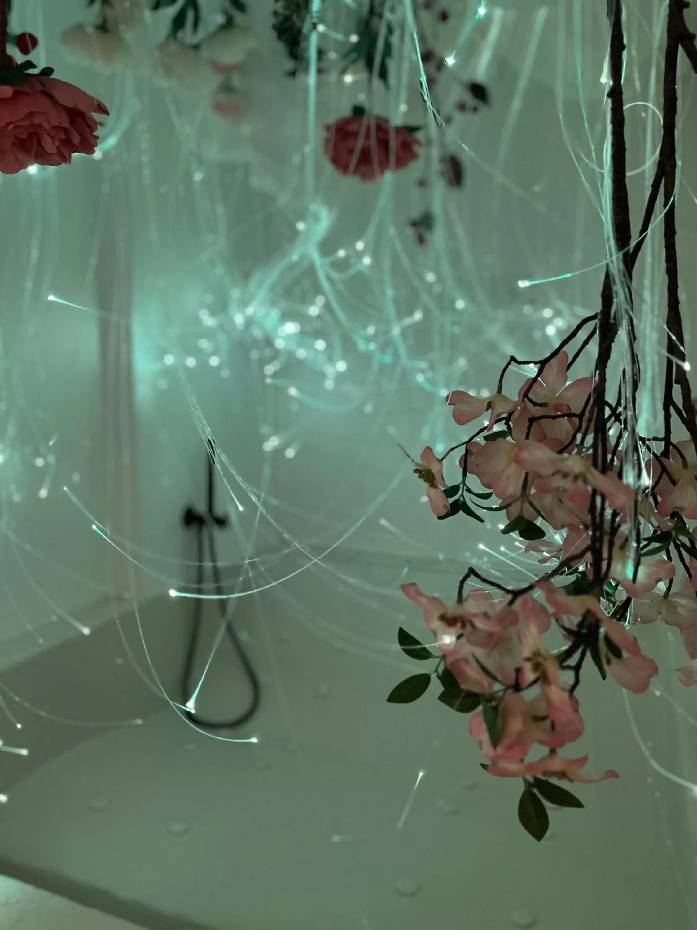 Other Animals in Hydria guest house art gallery