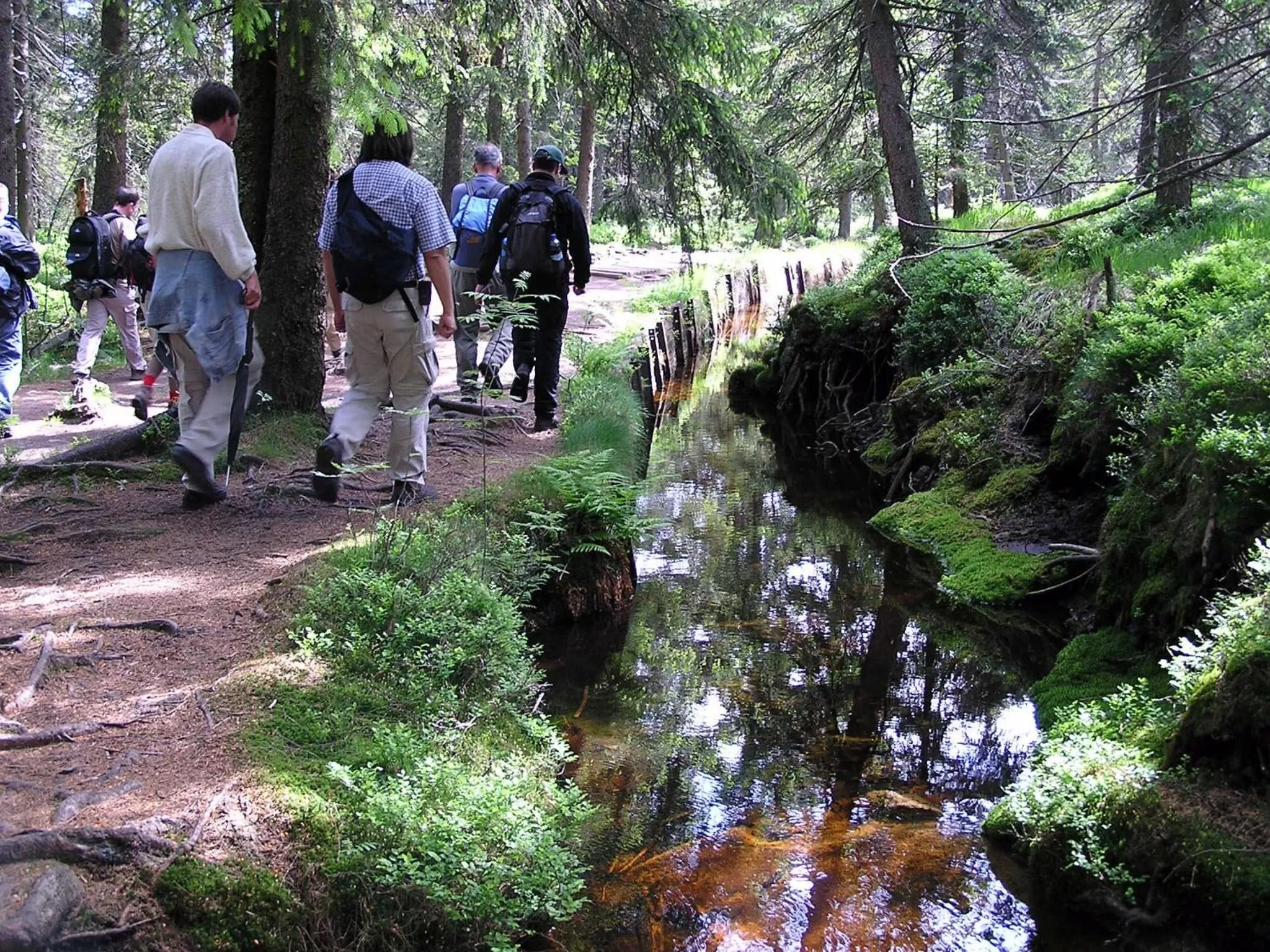 Hiking in Hotel Zum Harzer