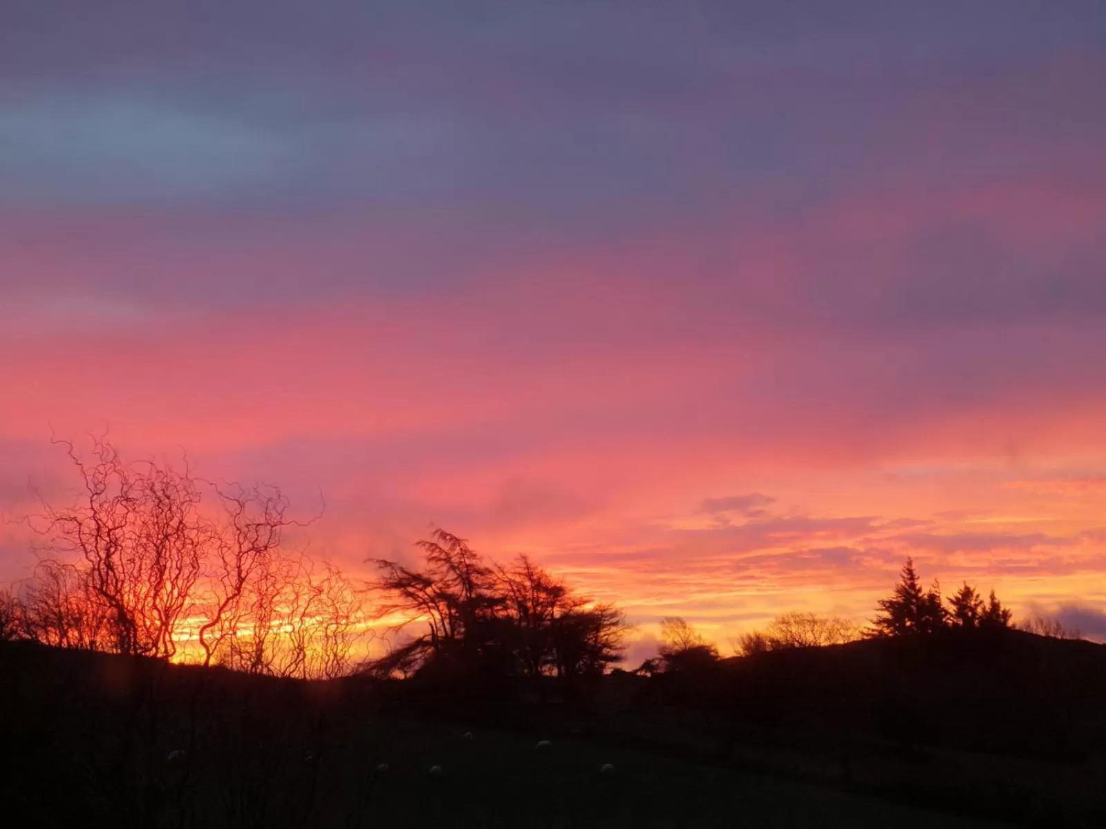 Garden view in Ty Capel