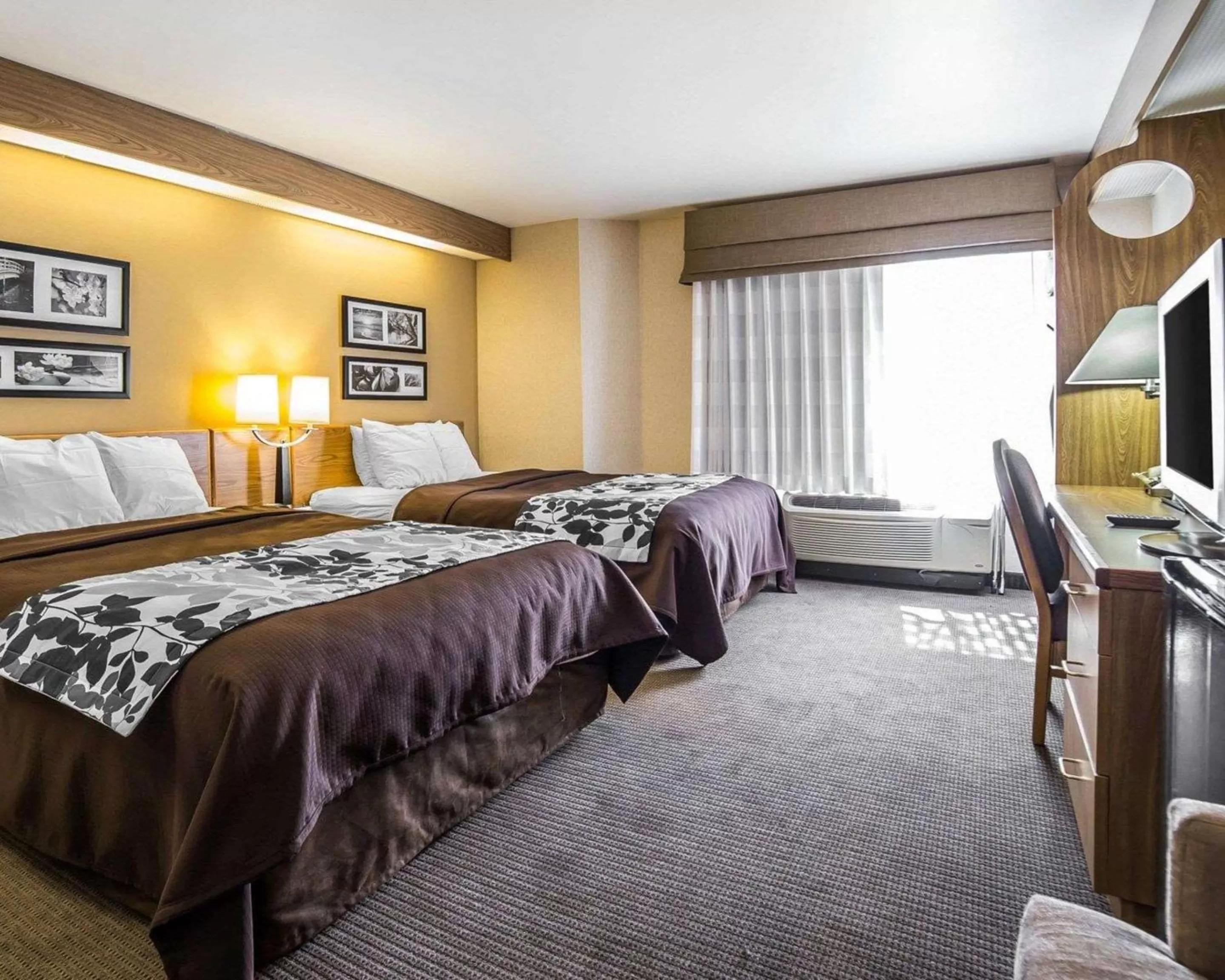 Photo of the whole room, Bed in Quality Inn Moab Slickrock Area