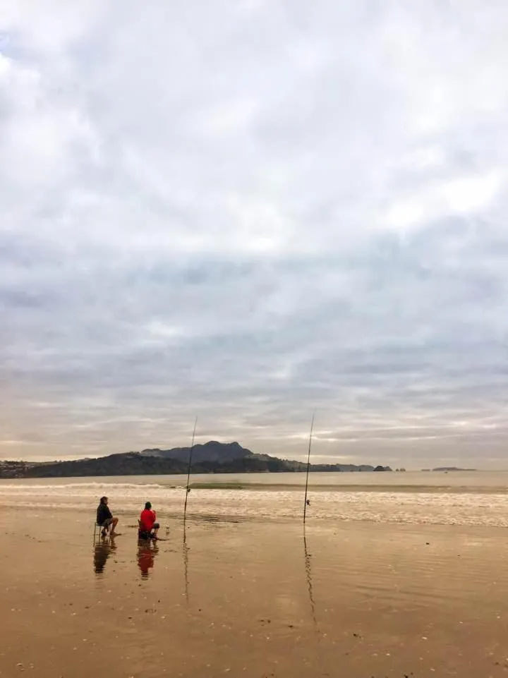 Fishing in Albert Number 6