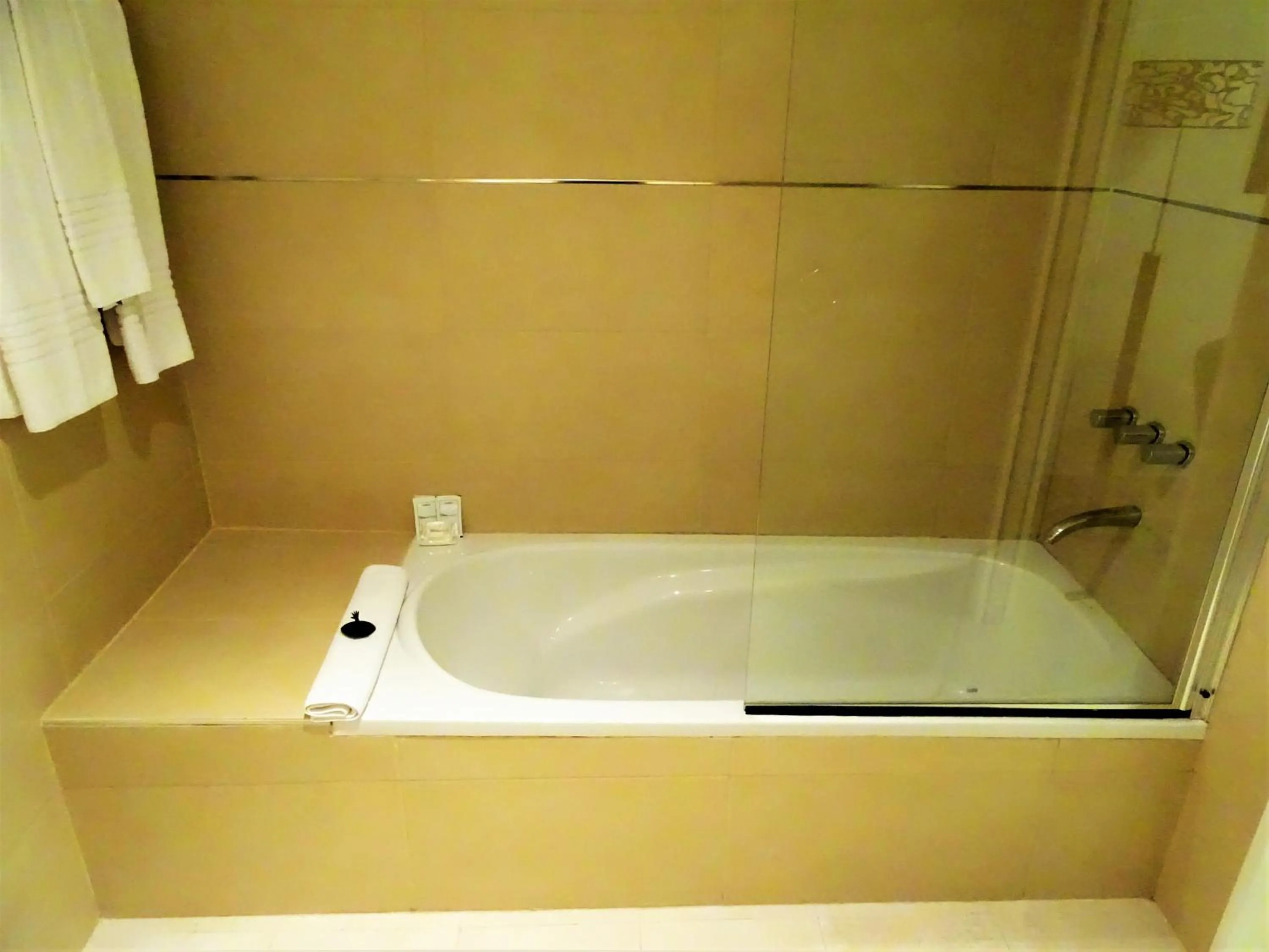 Shower in Hotel UTHGRA de las Luces