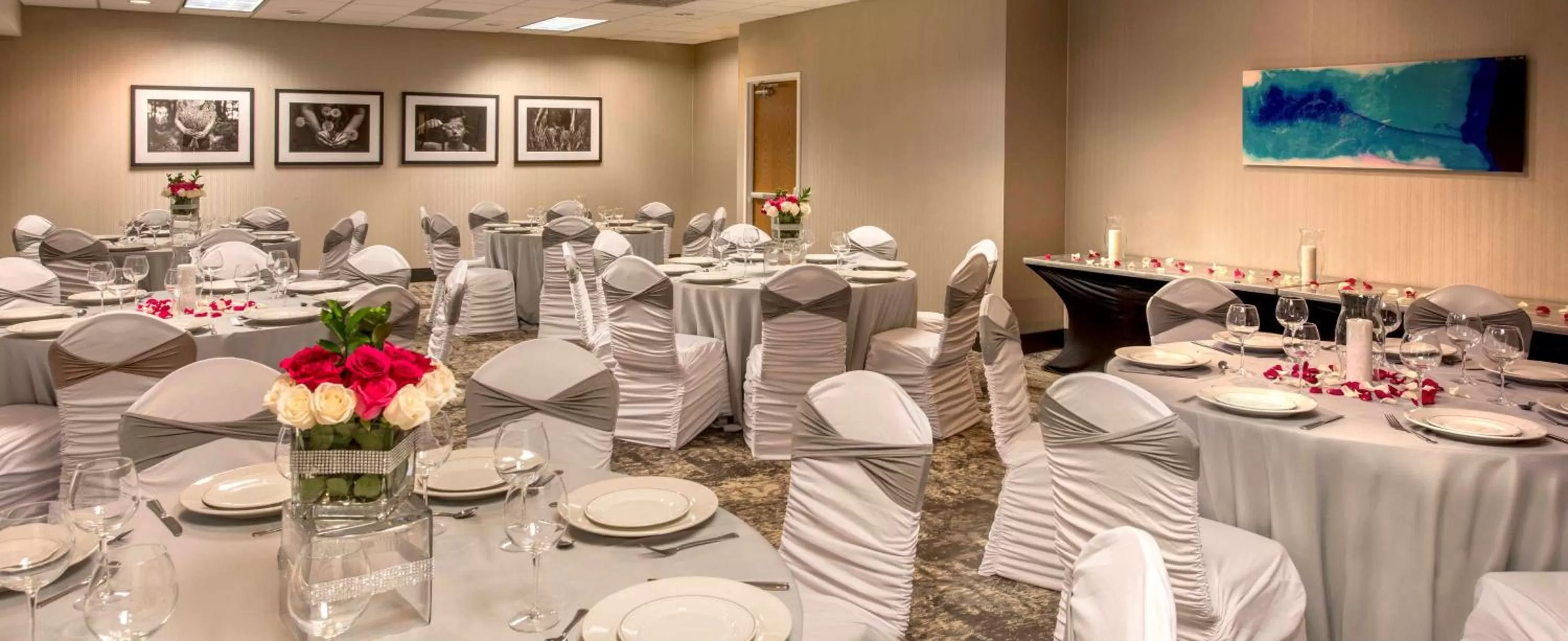 Business facilities in DoubleTree by Hilton Chicago Schaumburg