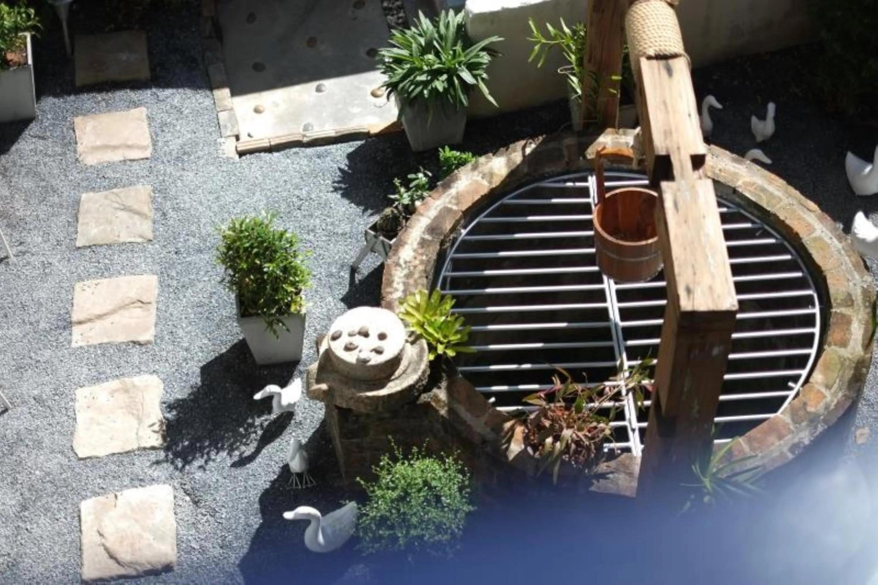 Garden in Chanchalay Hip Hostel SHA Extra Plus