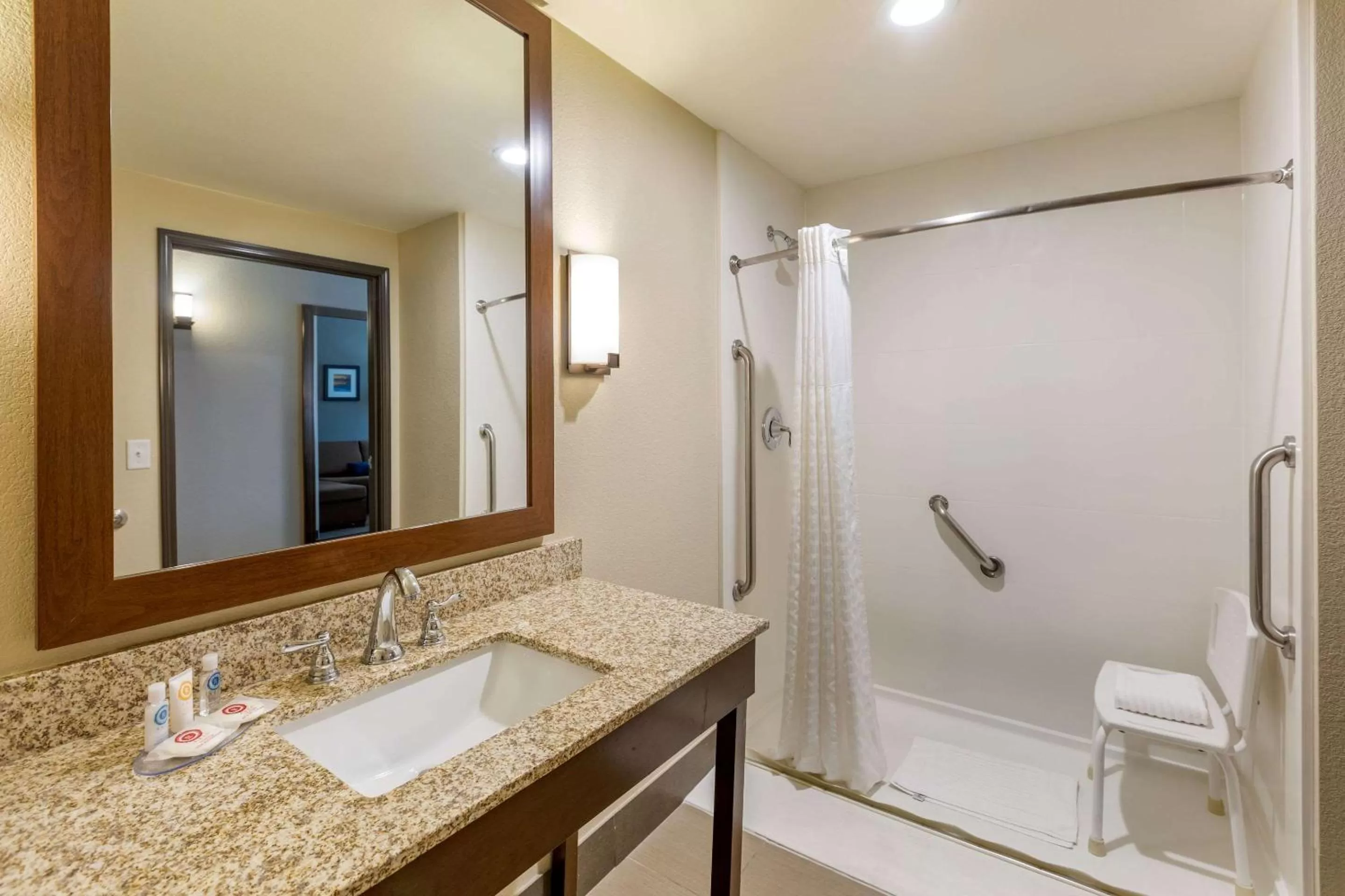 King Suite with Accessible Tub - Accessible/Non-Smoking in Comfort Suites Near Denver Downtown