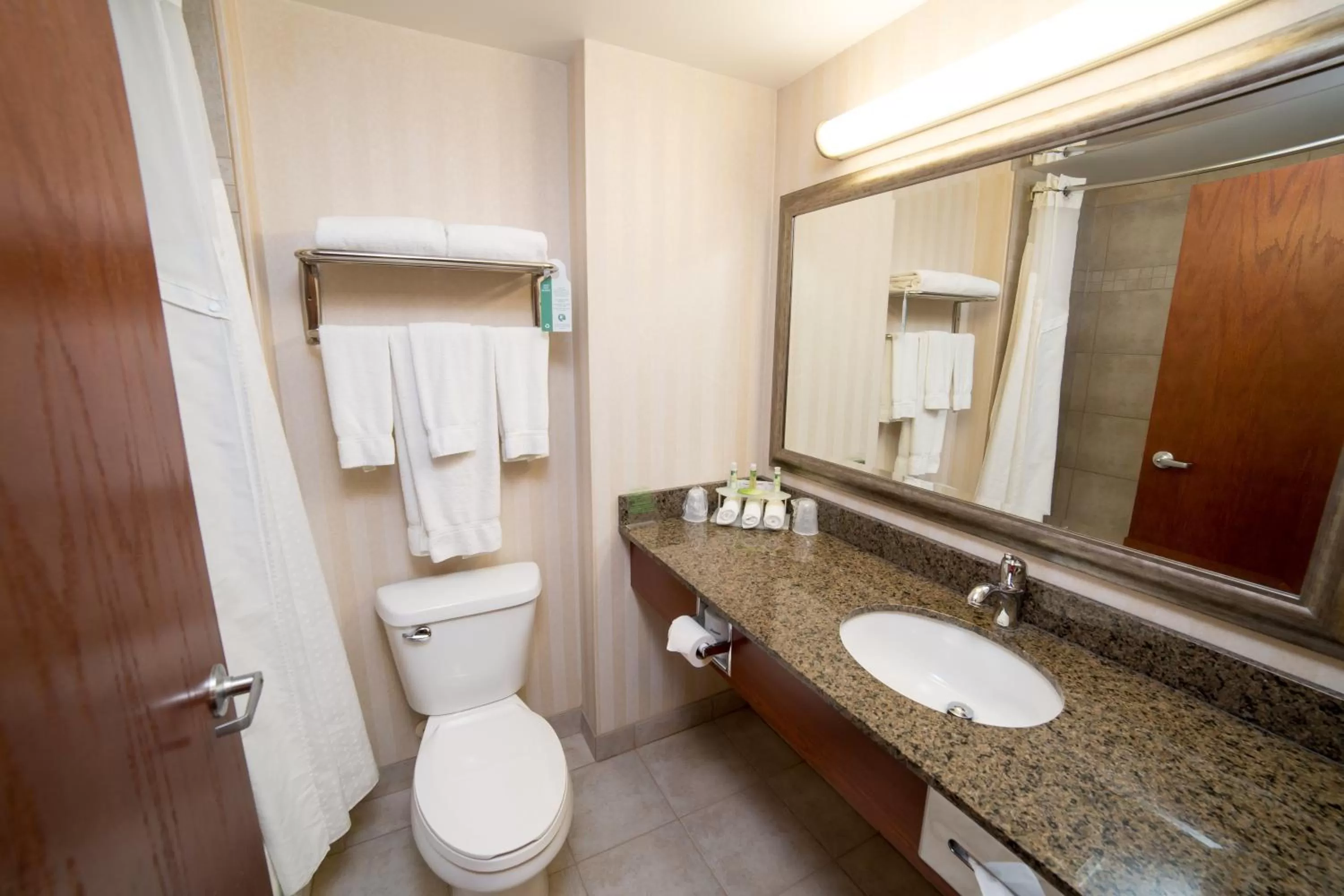 Bathroom in Holiday Inn Express & Suites Drayton Valley by IHG