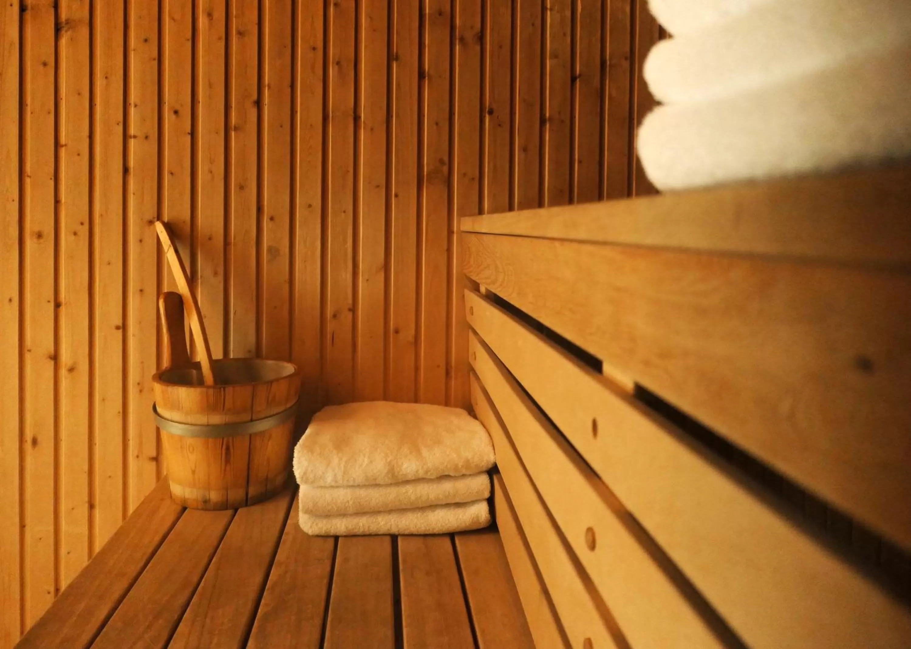 Sauna in Home Hotel Bastion