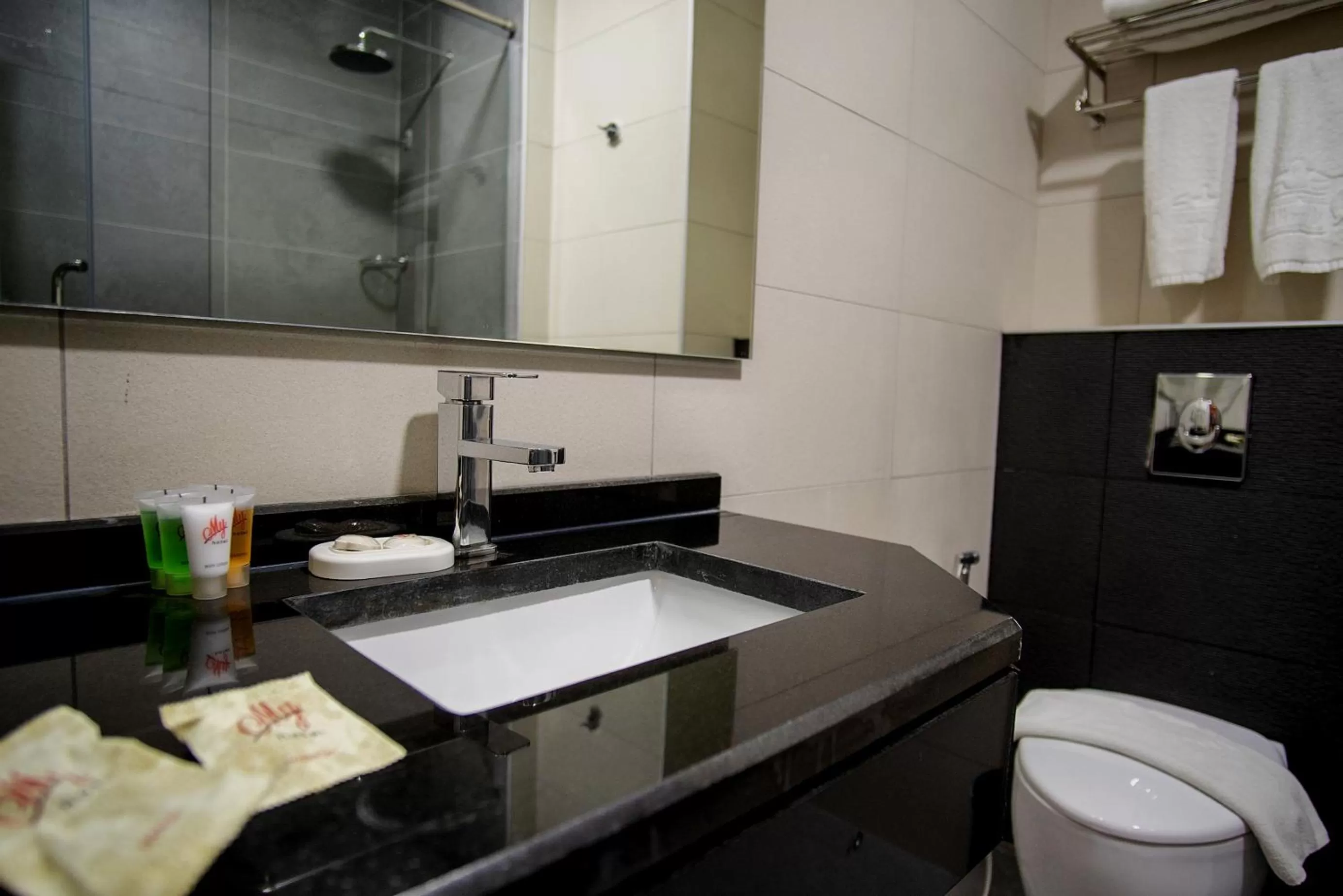Toilet, Bathroom in My Luxury Hotel