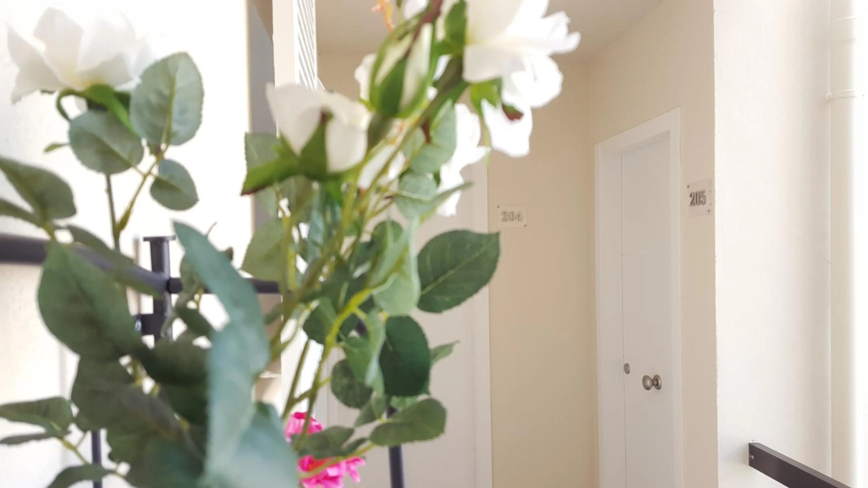 Area and facilities in Hotel Creta Paguera