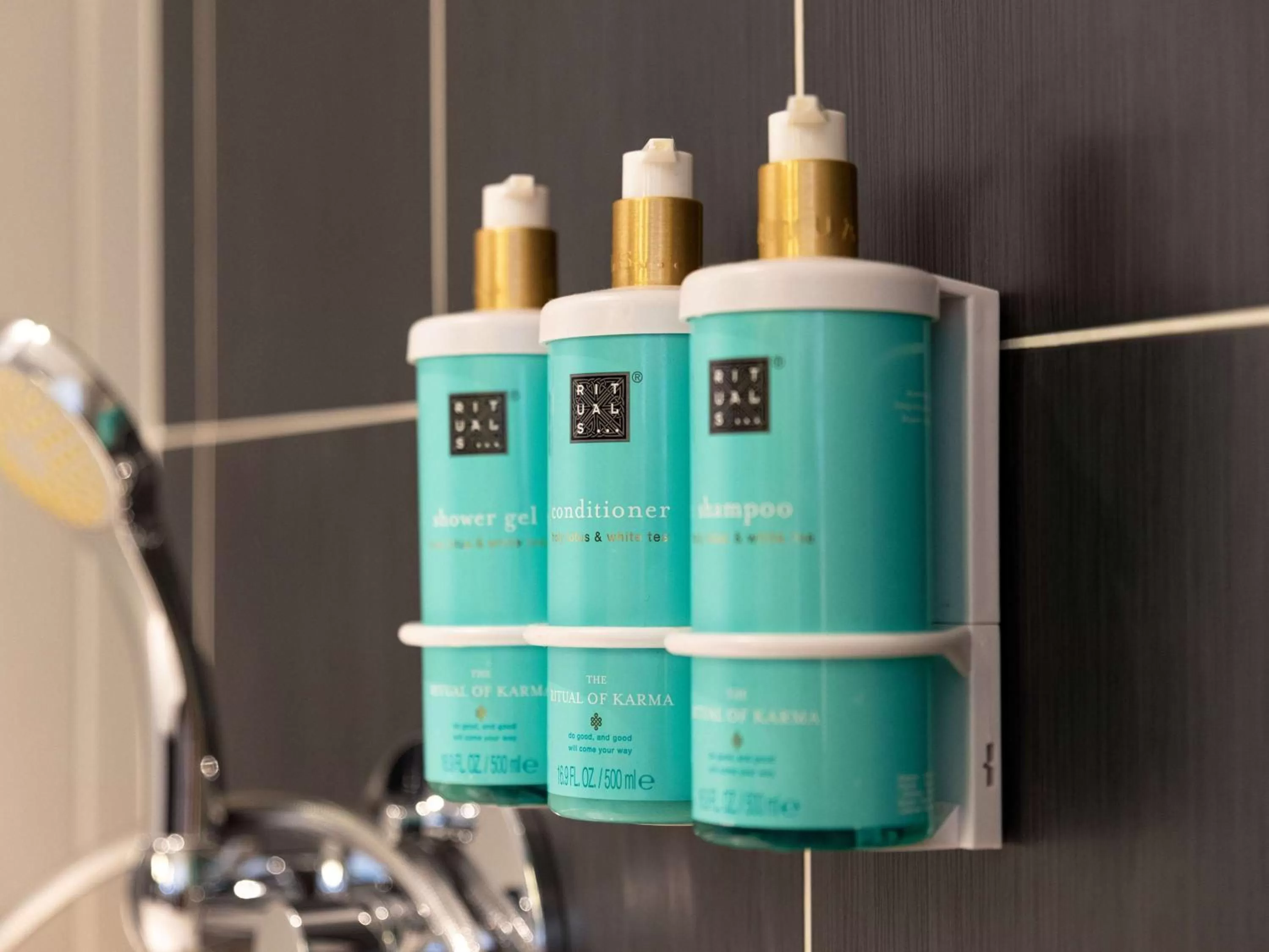 Superior Suite with Double Bed and Sofa Bed in Novotel Suites Paris Expo Porte de Versailles