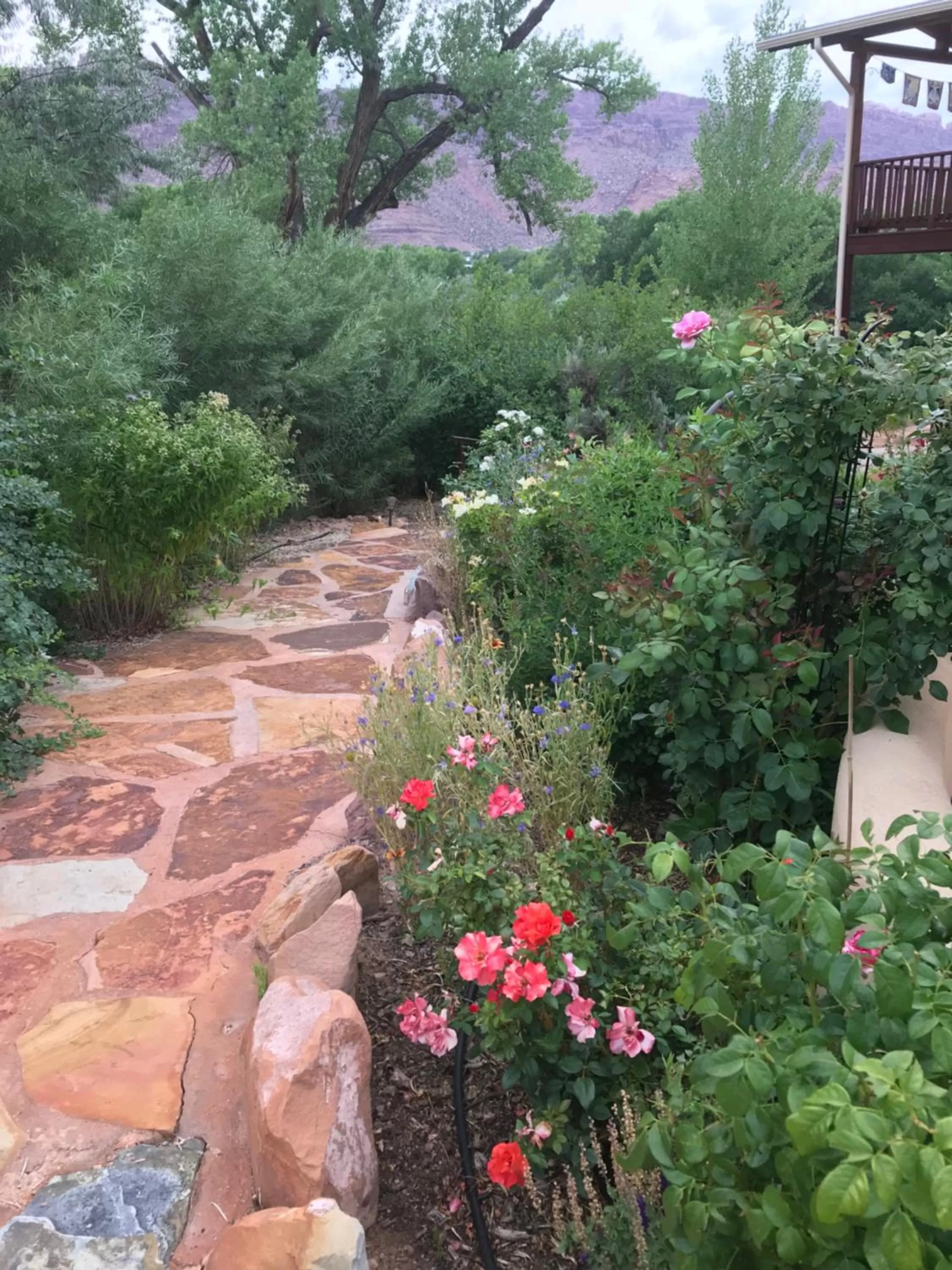 Garden in Red Moon Lodge