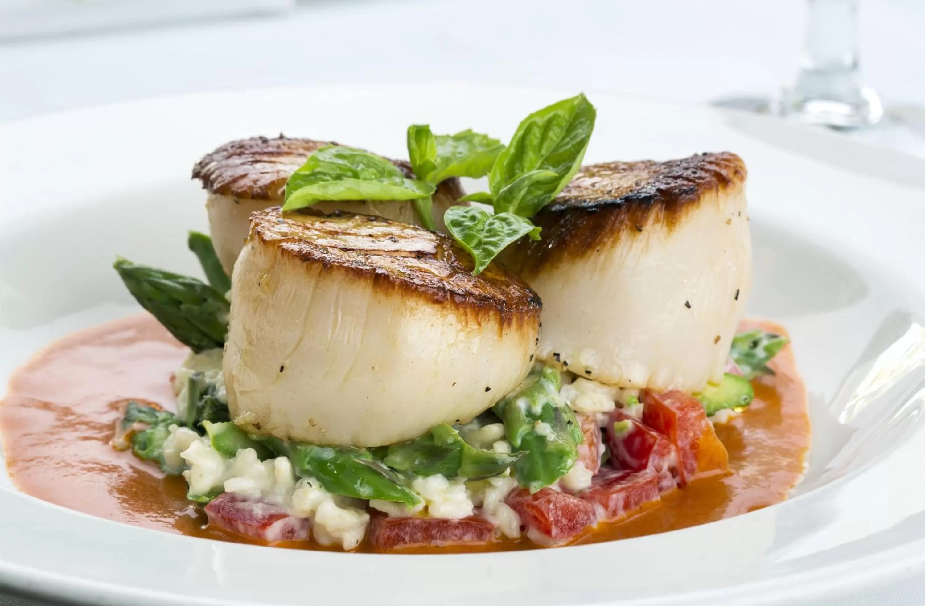 Food close-up in Tranquility Bay Resort