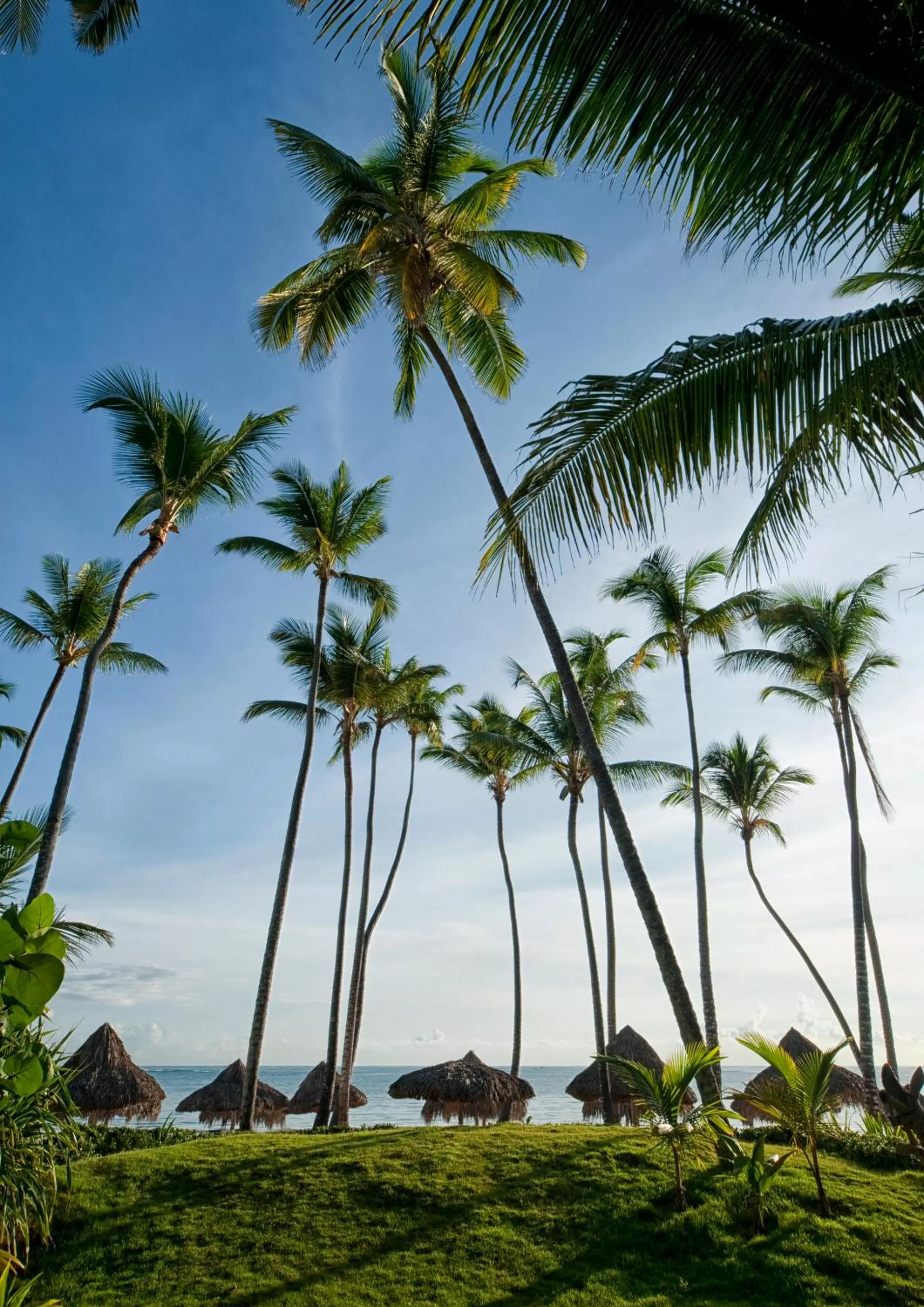 Garden in Meliá Punta Cana Beach Wellness Inclusive - Adults only