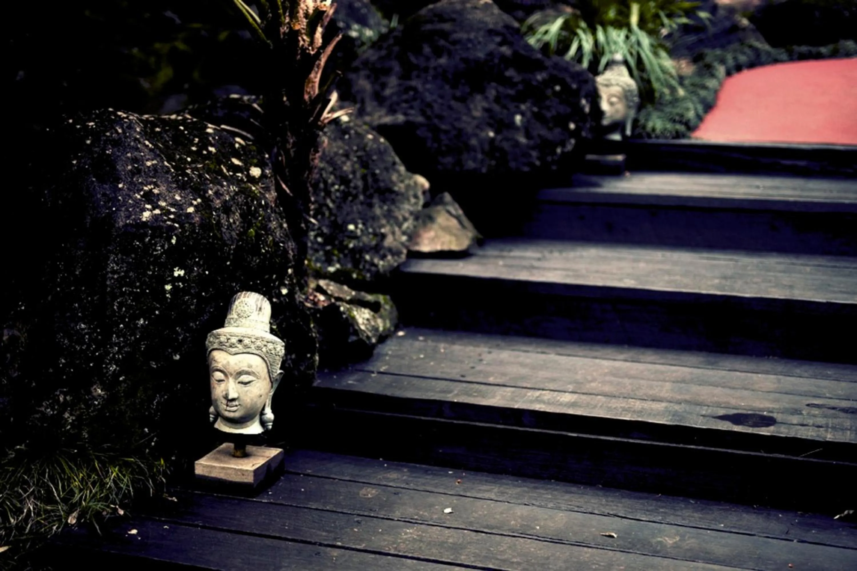 Garden in Escarpment Retreat & Day Spa for Couples