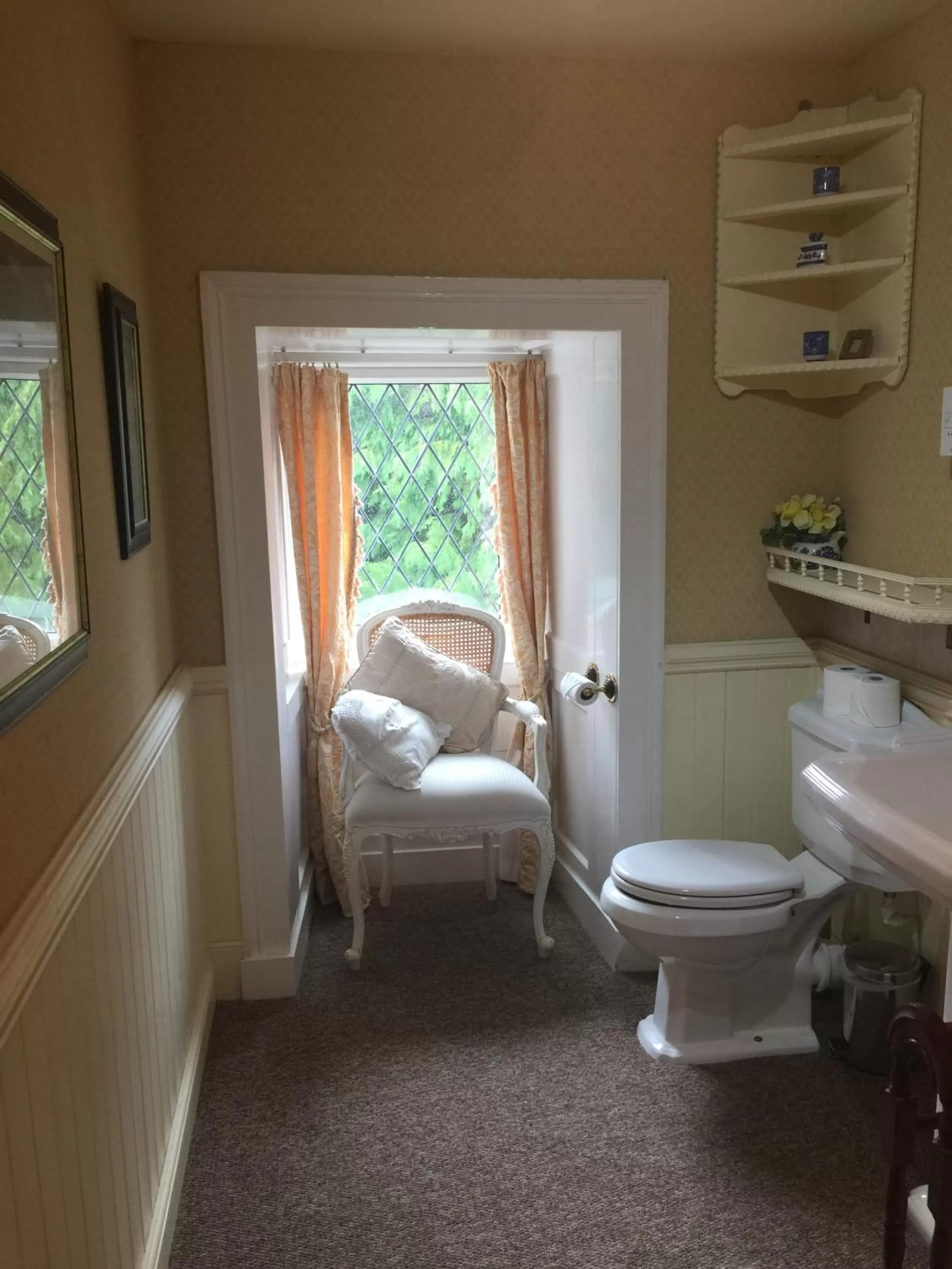 Bathroom in Glyn Isa Country House B&B and self catering Lodge