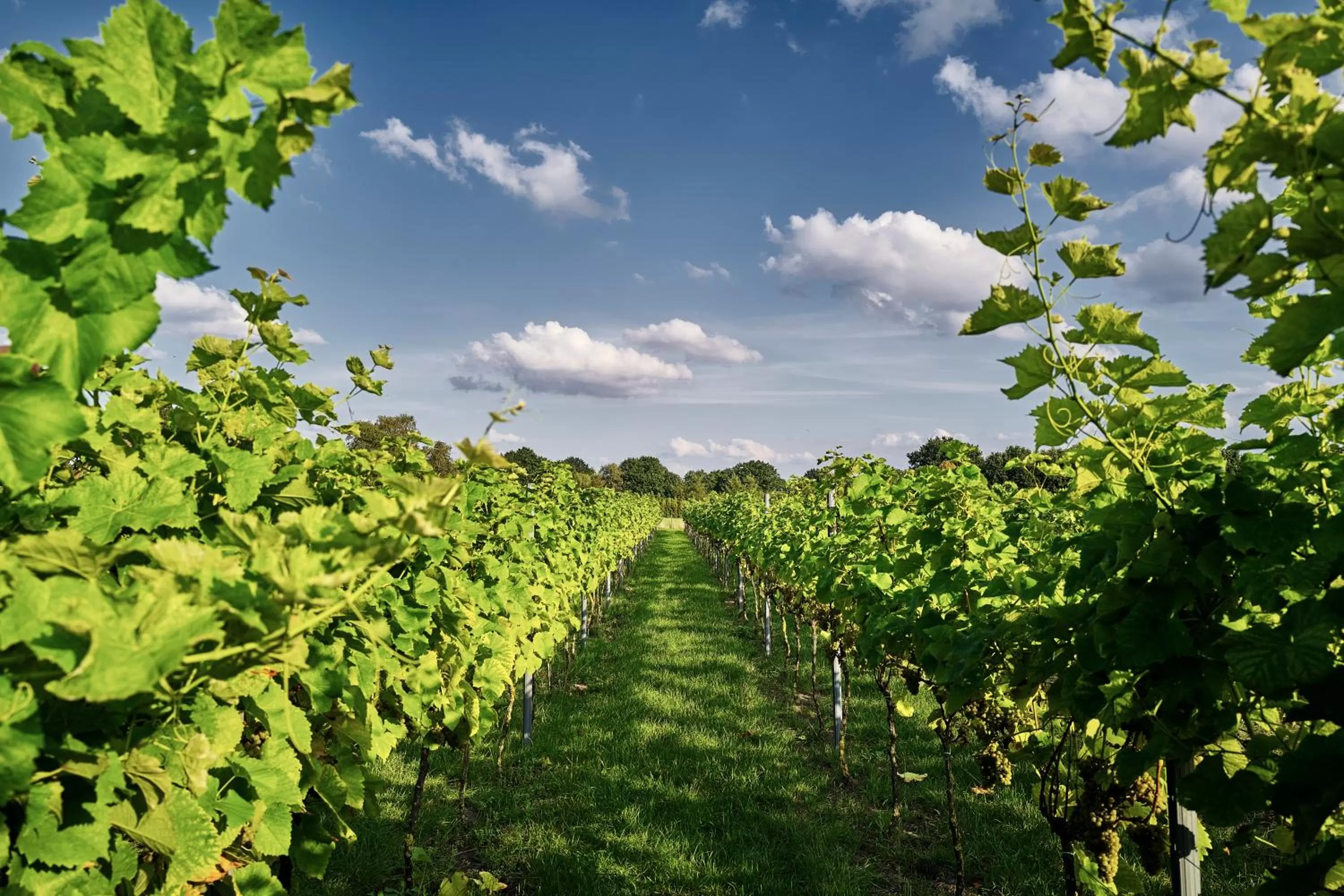 Garden in Romantik Hotel Jagdhaus Eiden am See