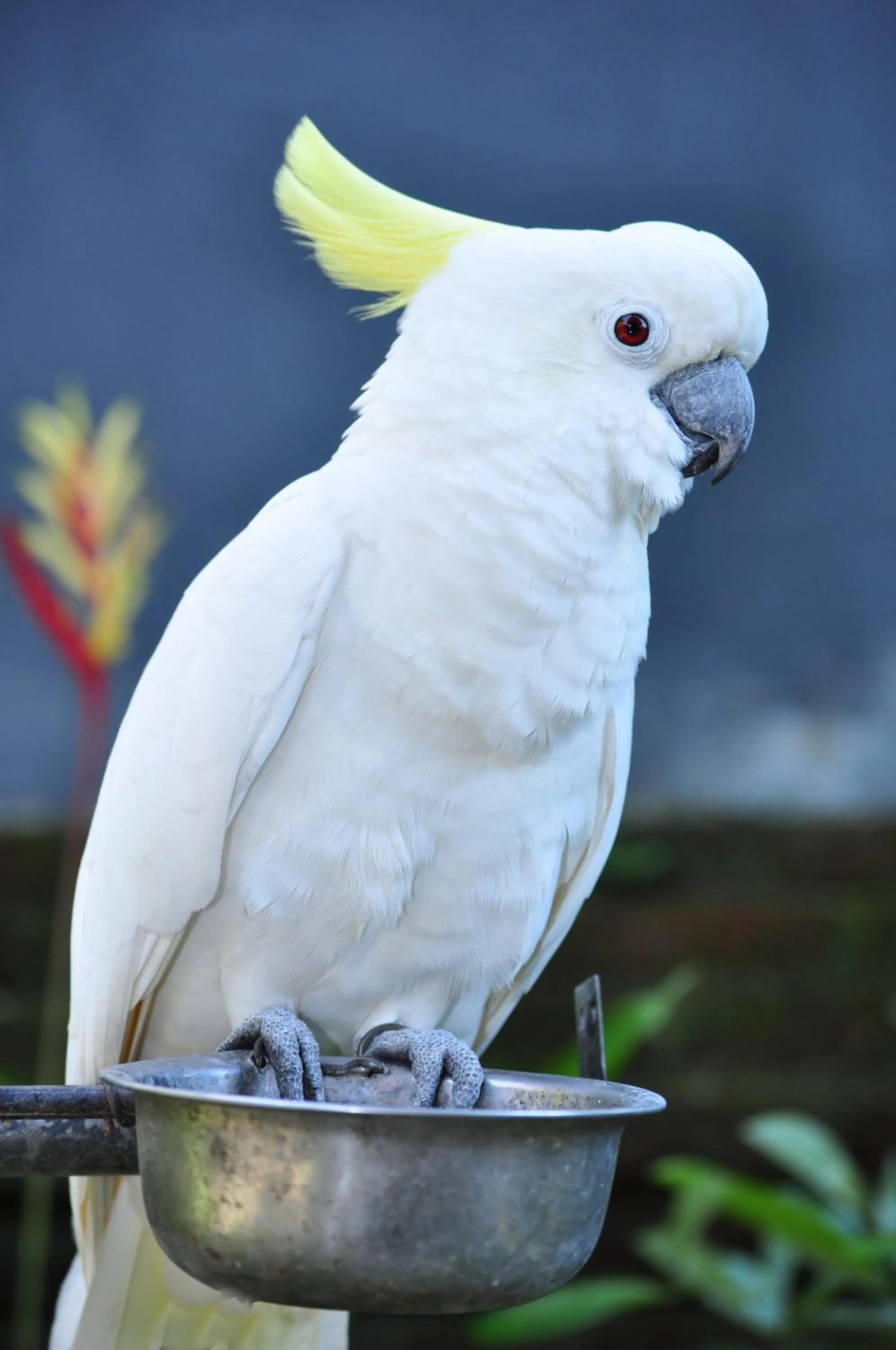 Facade/entrance in Nick's Homestay