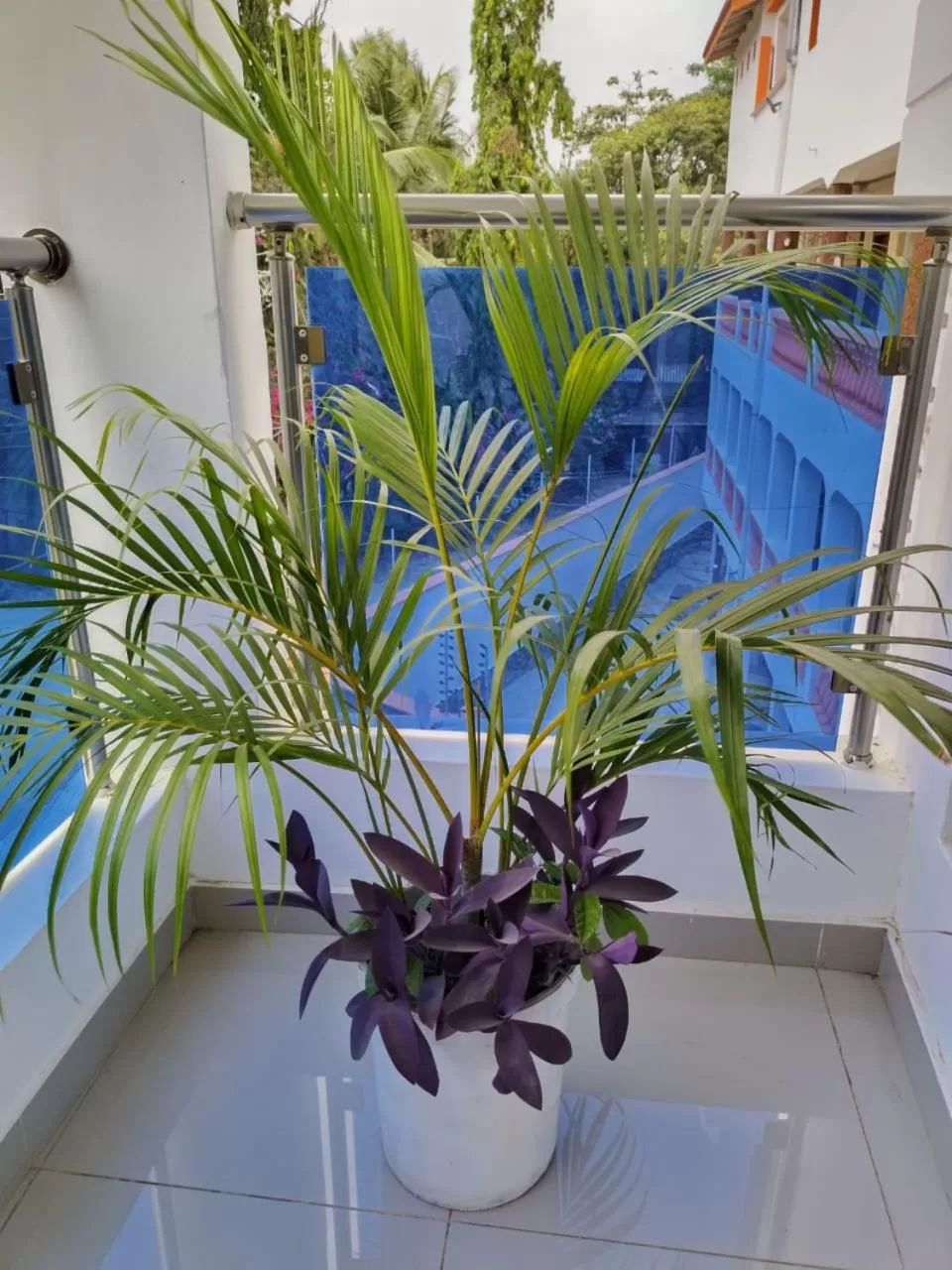 Decorative detail in 6 Park Retreat