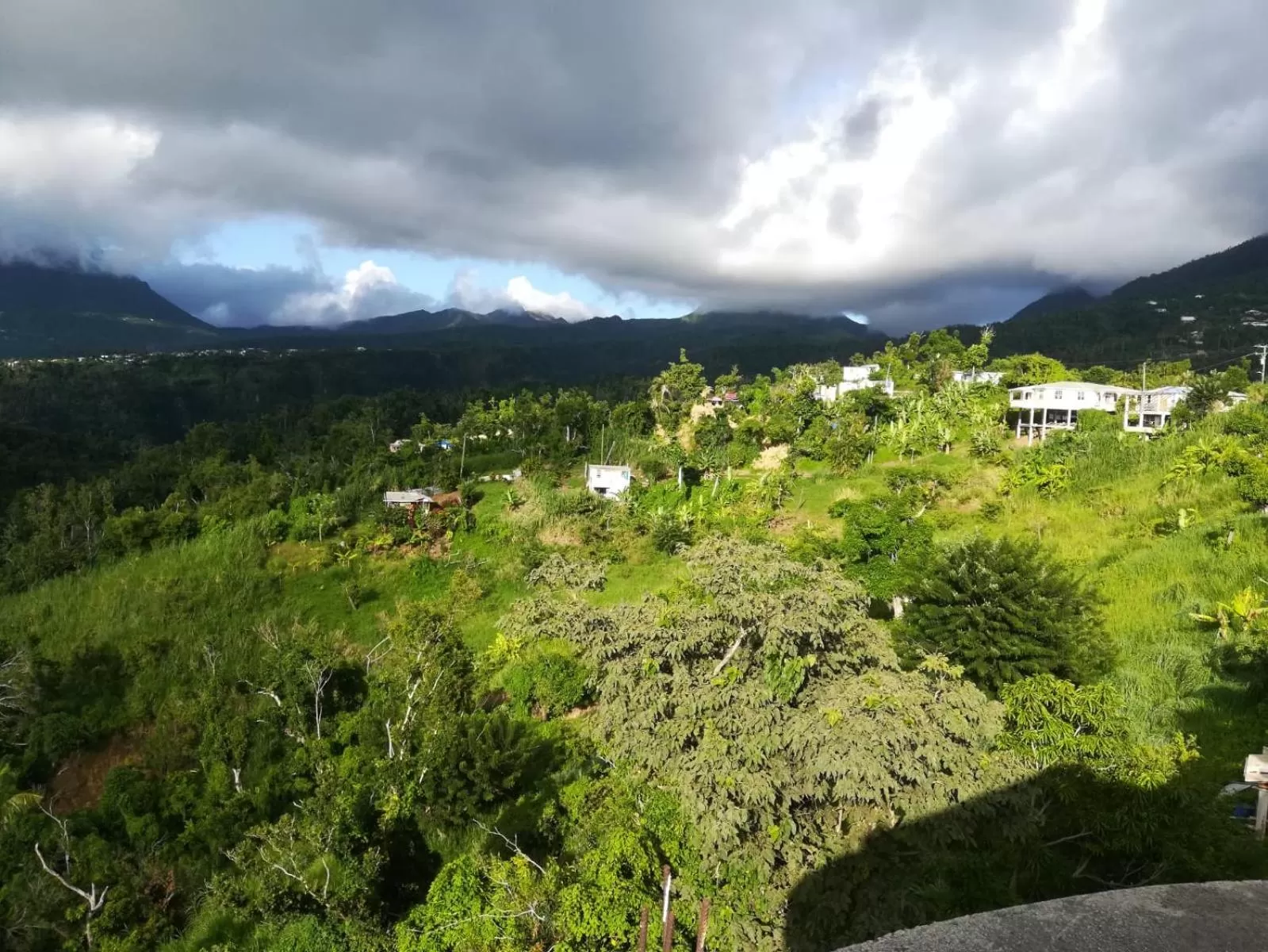 Mountain view in Matthew's Miracle View