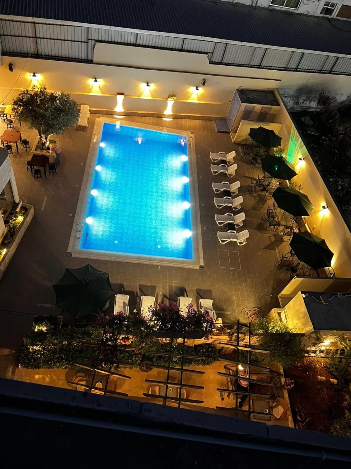 Swimming pool in Salome Hotel