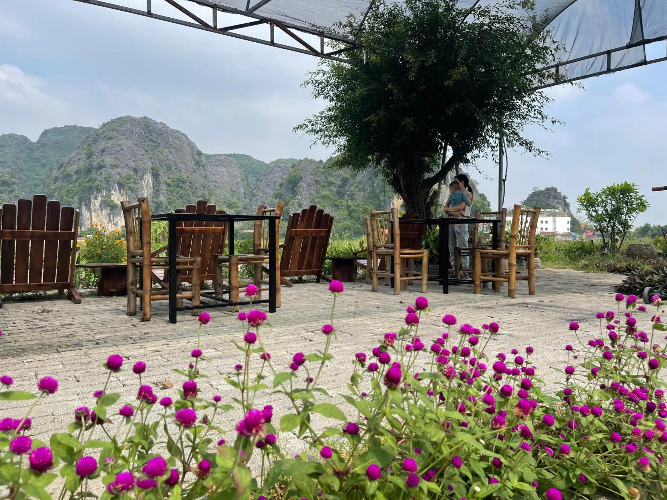 Tam Coc Mountain View Homestay