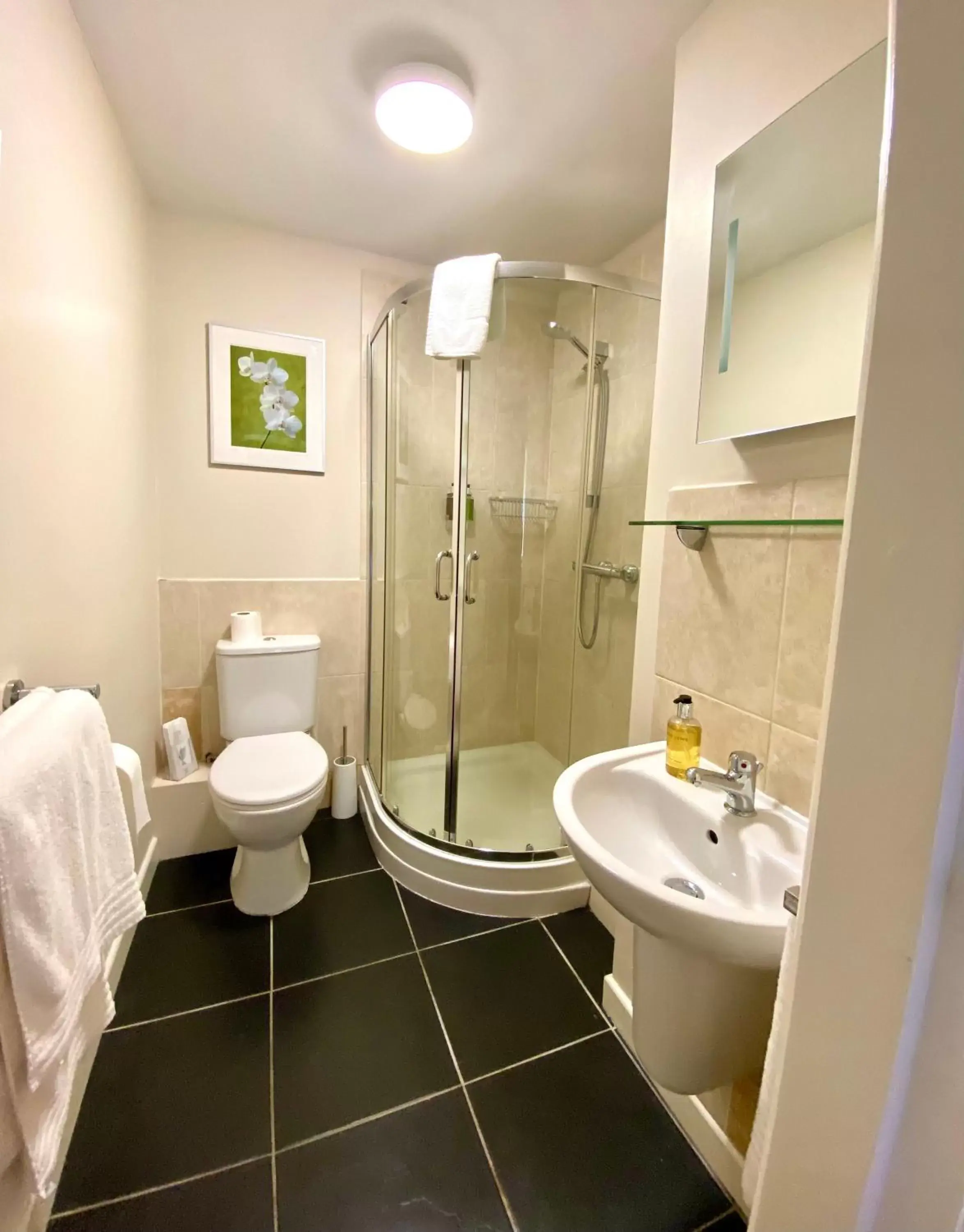 Twin Room - single occupancy in The Craven Arms Twin Room - single occupancy in The Craven Arms