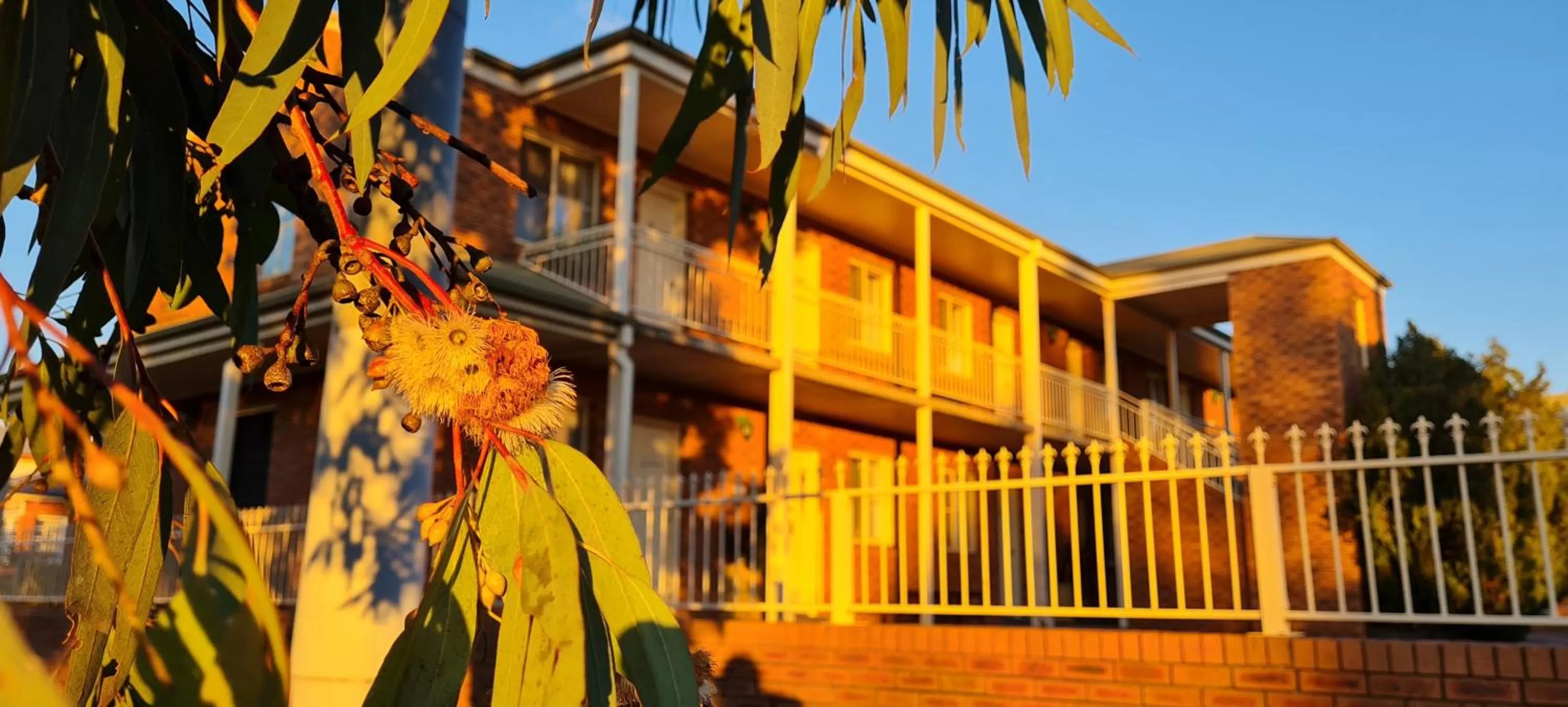 View (from property/room) in Golf Links Motel