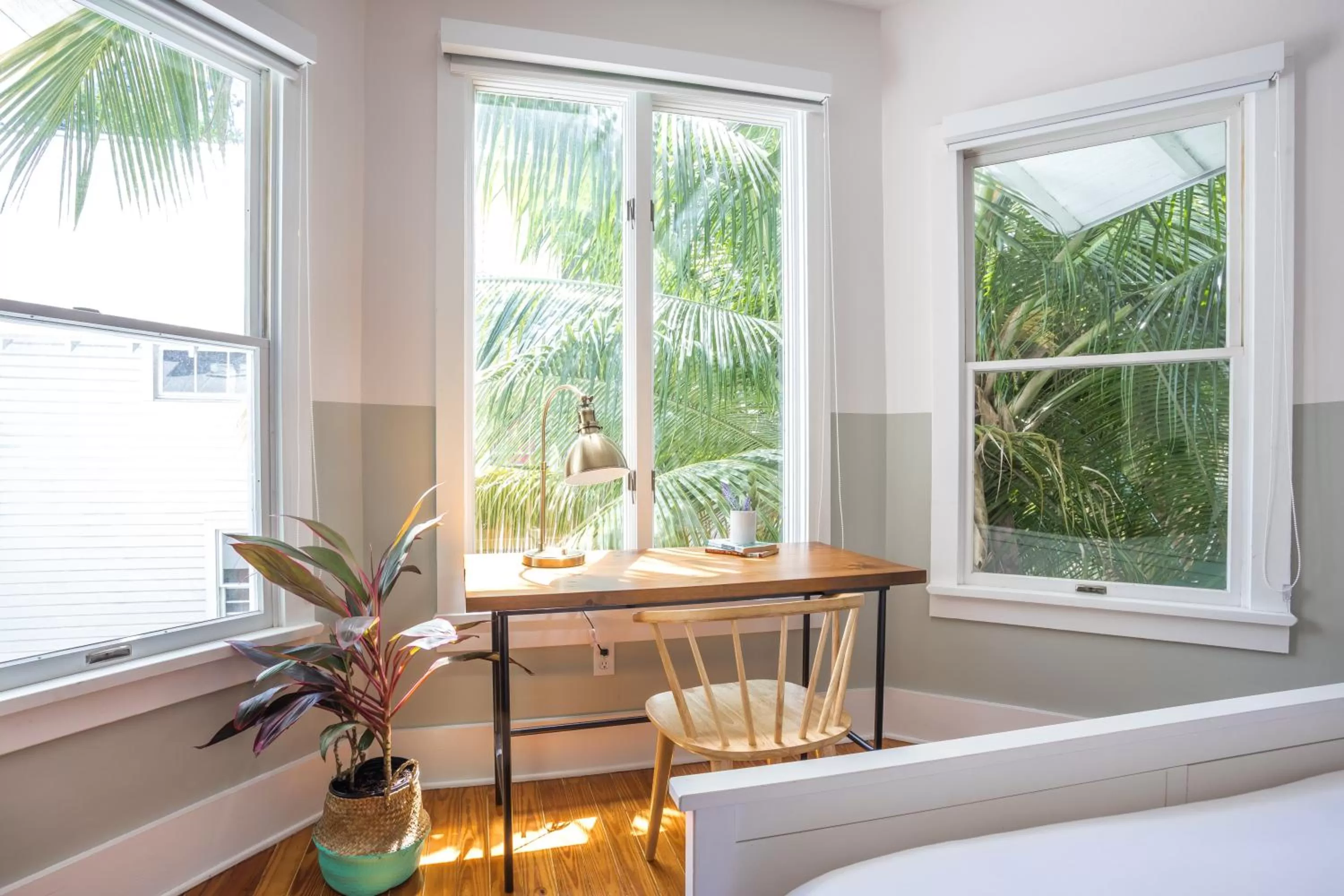 Area and facilities in Miami River Inn by Renzzi