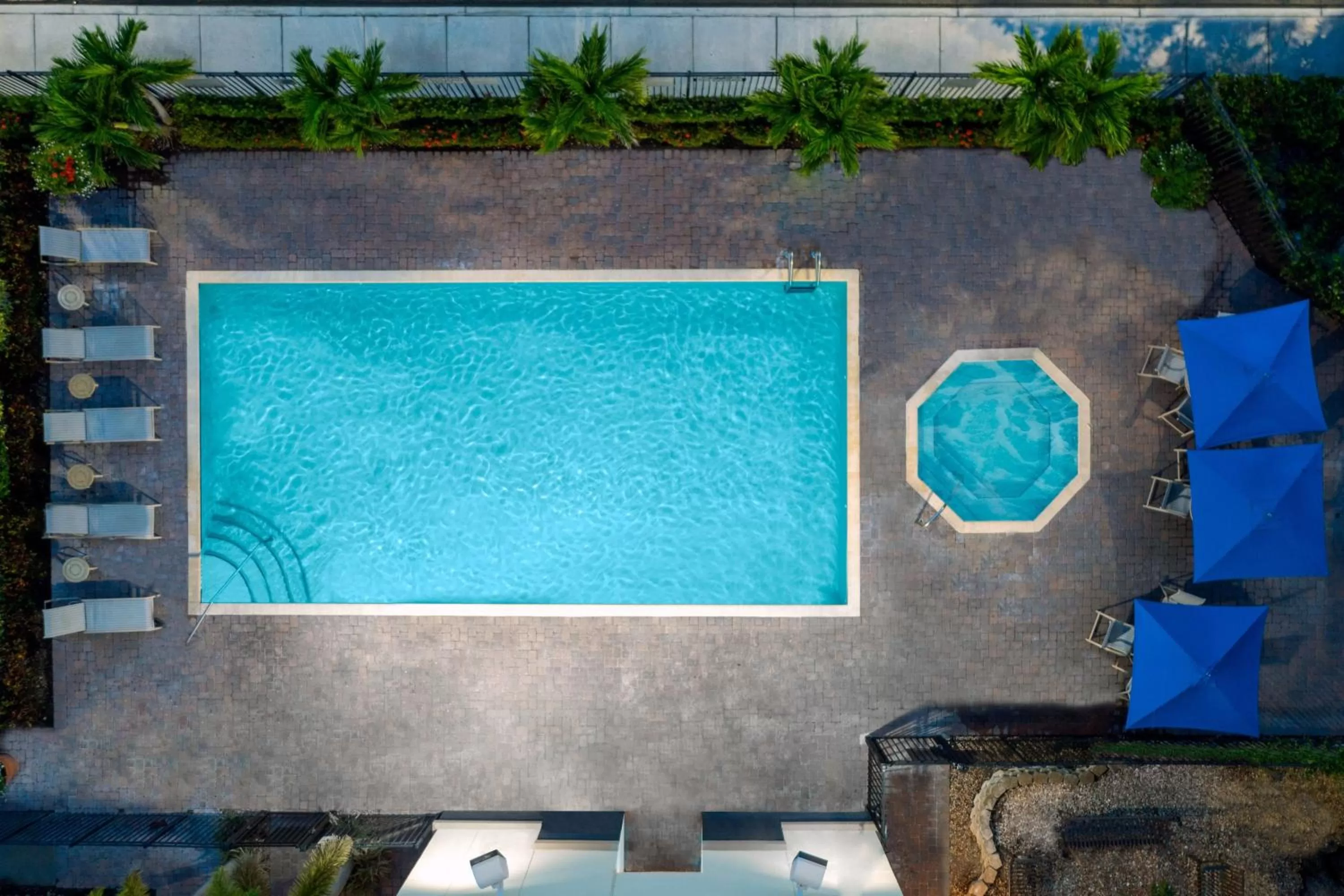 Swimming pool in Fairfield Inn and Suites by Marriott Clearwater