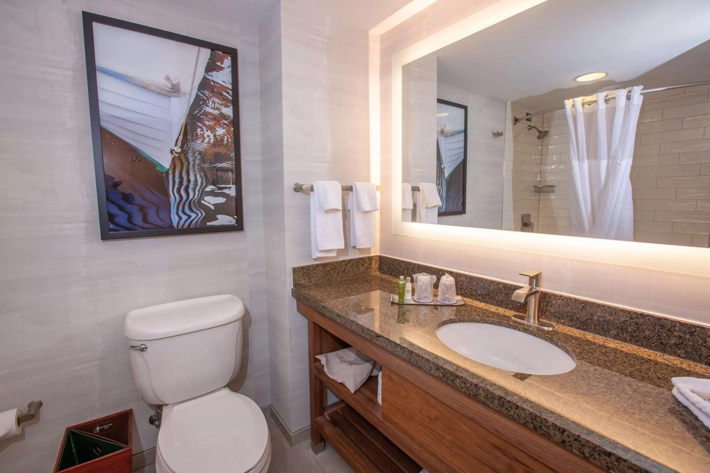 Bathroom in DoubleTree by Hilton Bay City - Riverfront