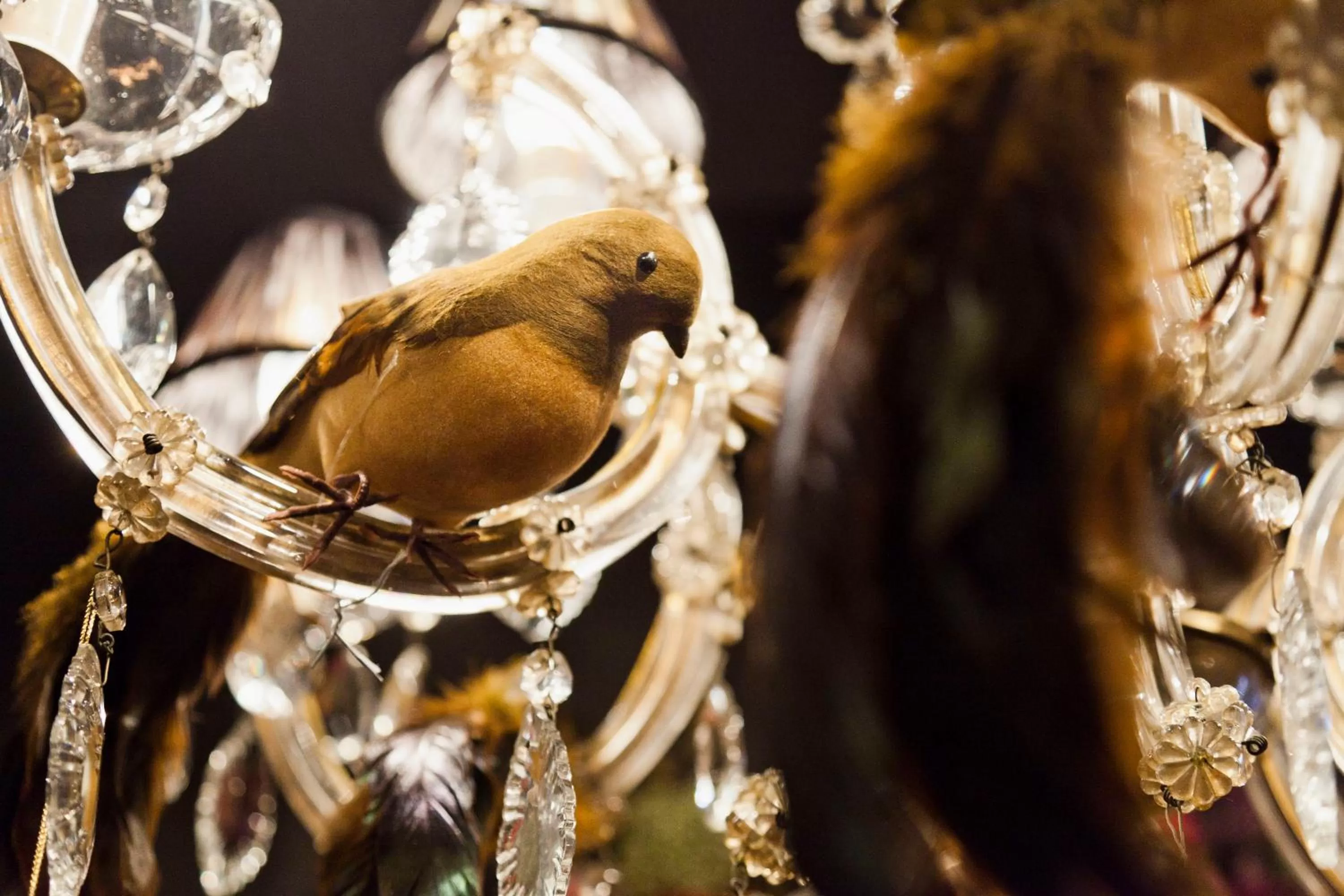 Decorative detail in Hotel Diamonds and Pearls